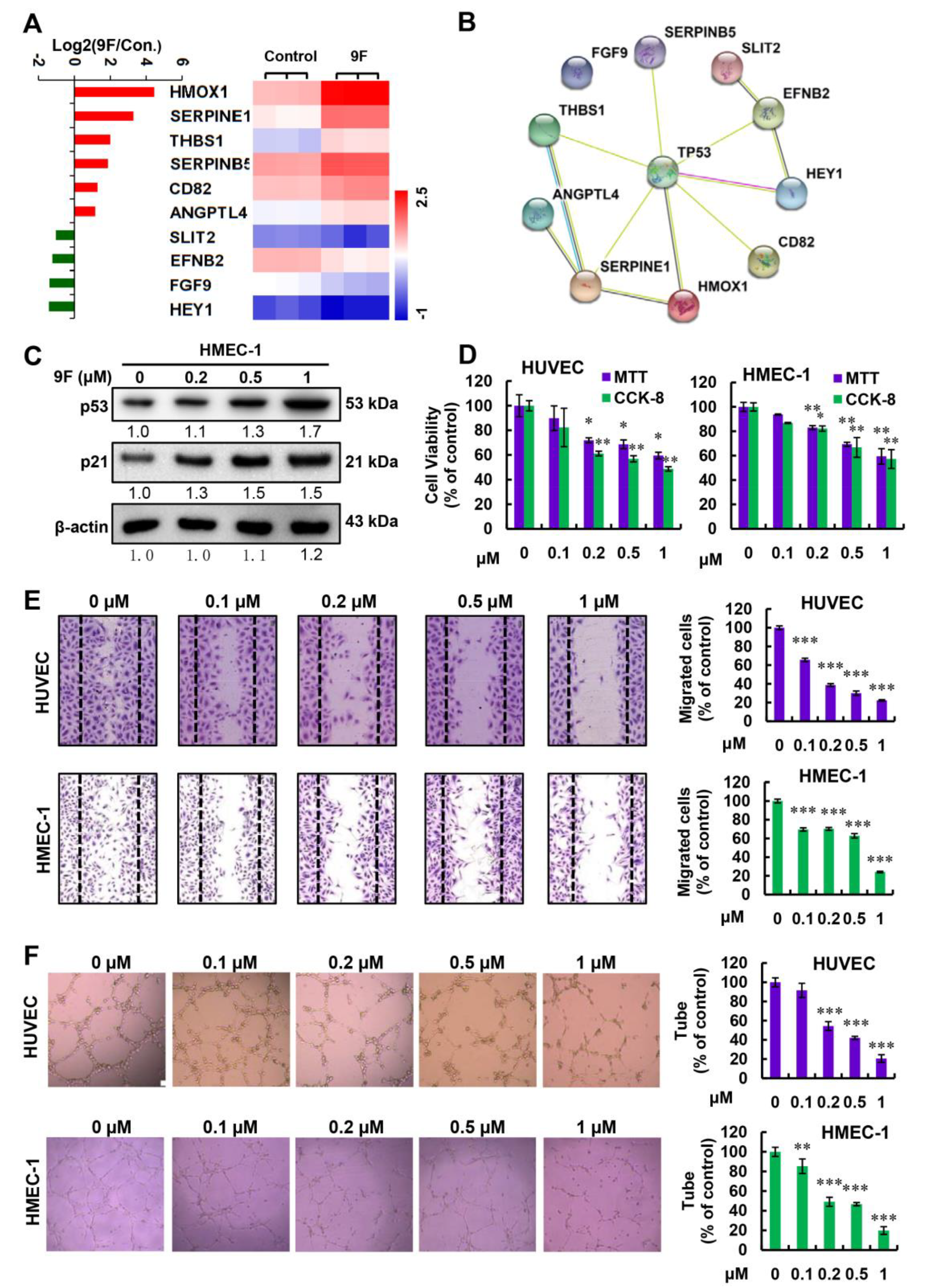 Cancers 12 00528 g006