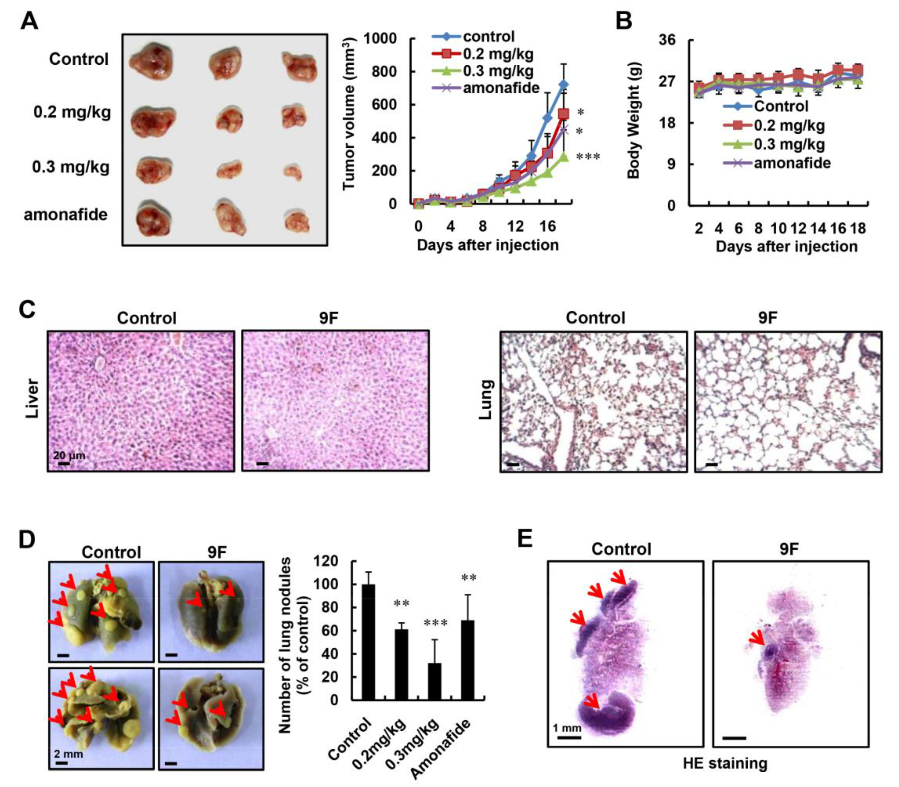 Cancers 12 00528 g007