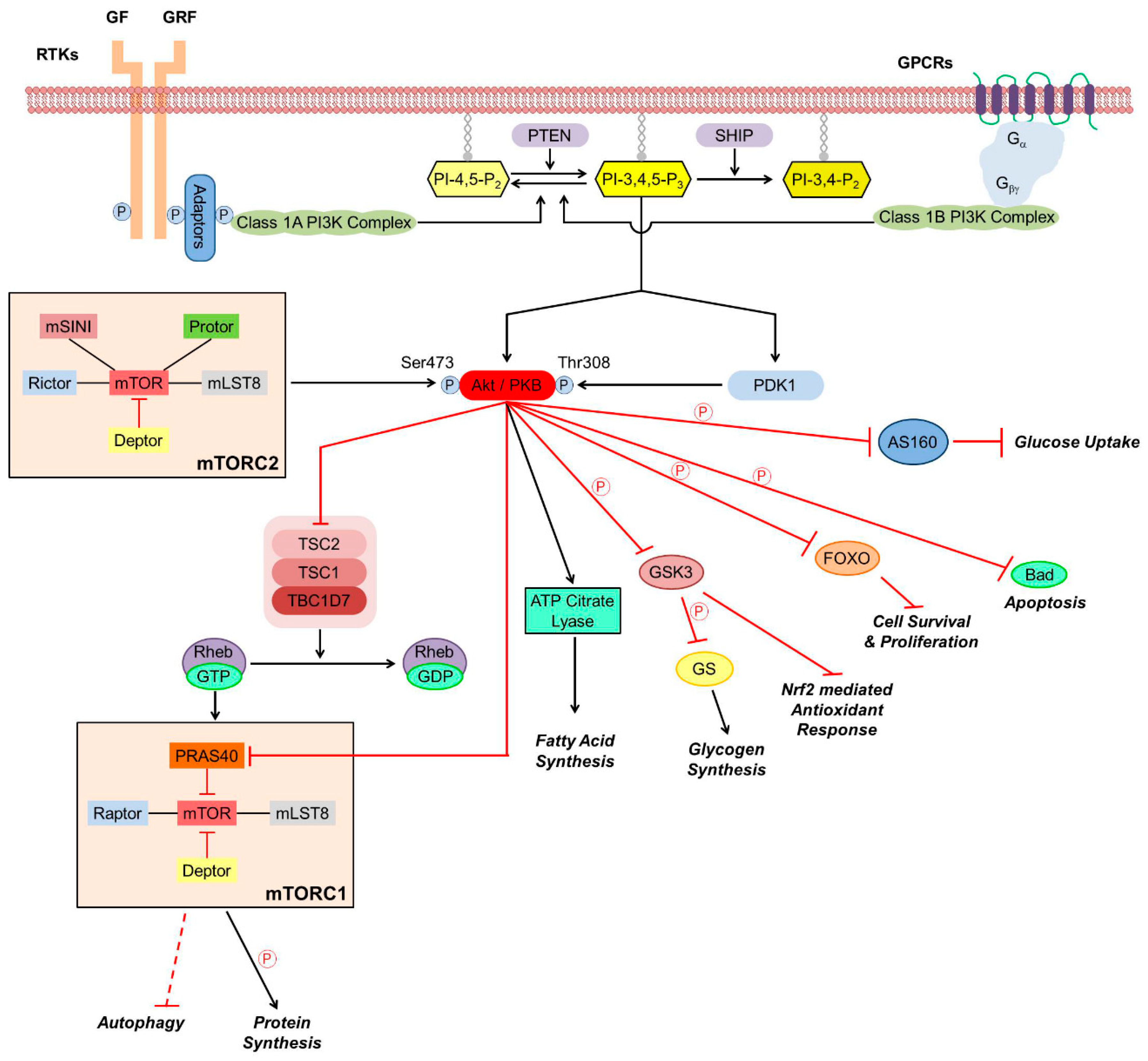 Cancers 12 00532 g001