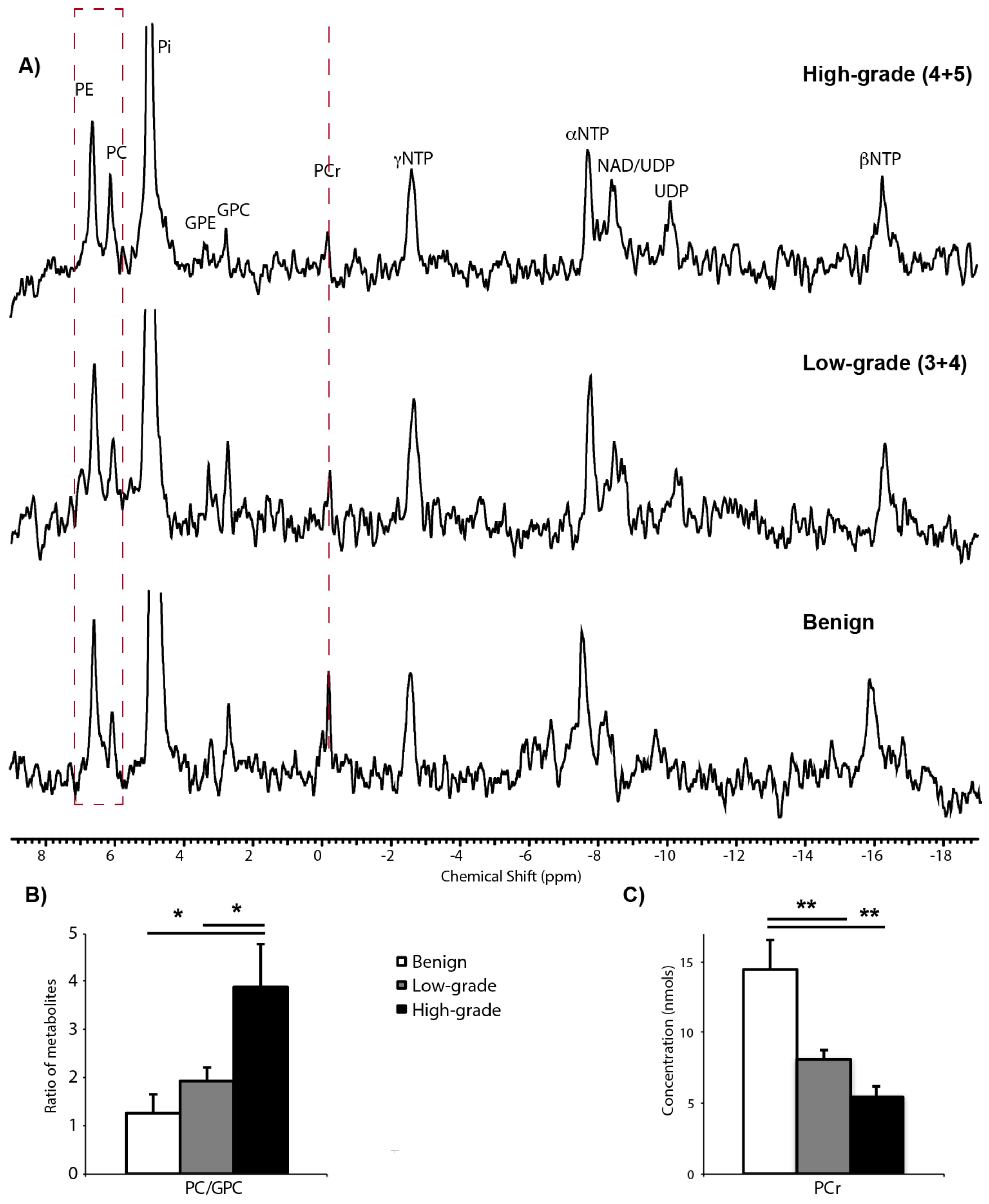 Cancers 12 00537 g002