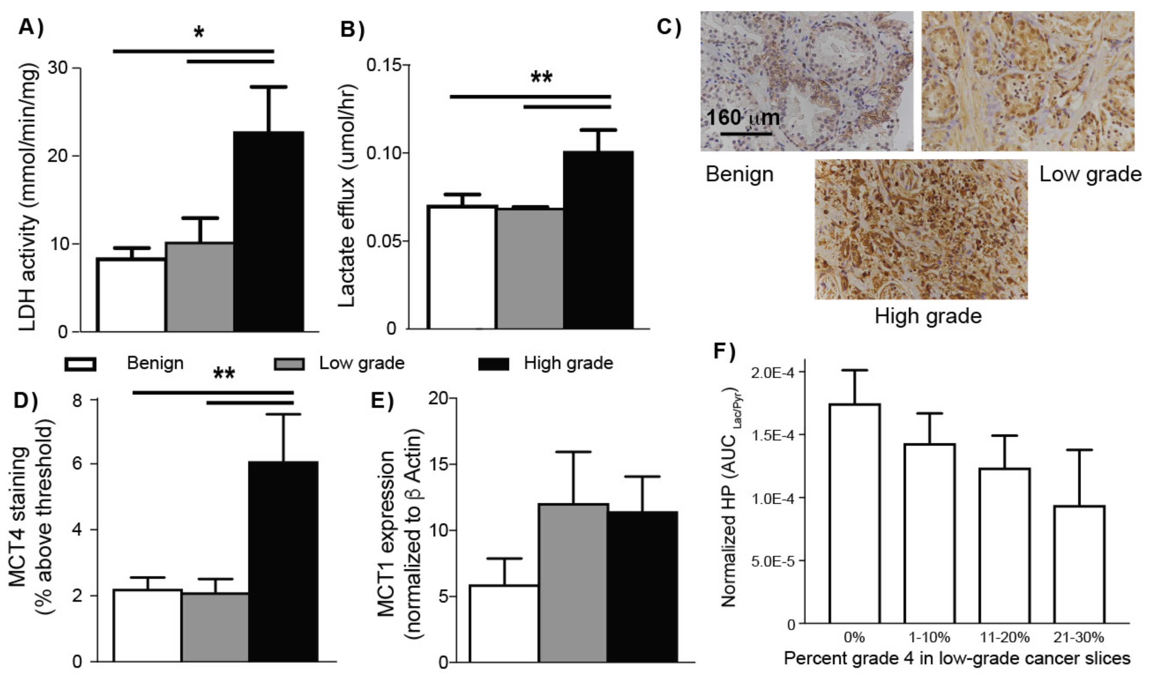 Cancers 12 00537 g004