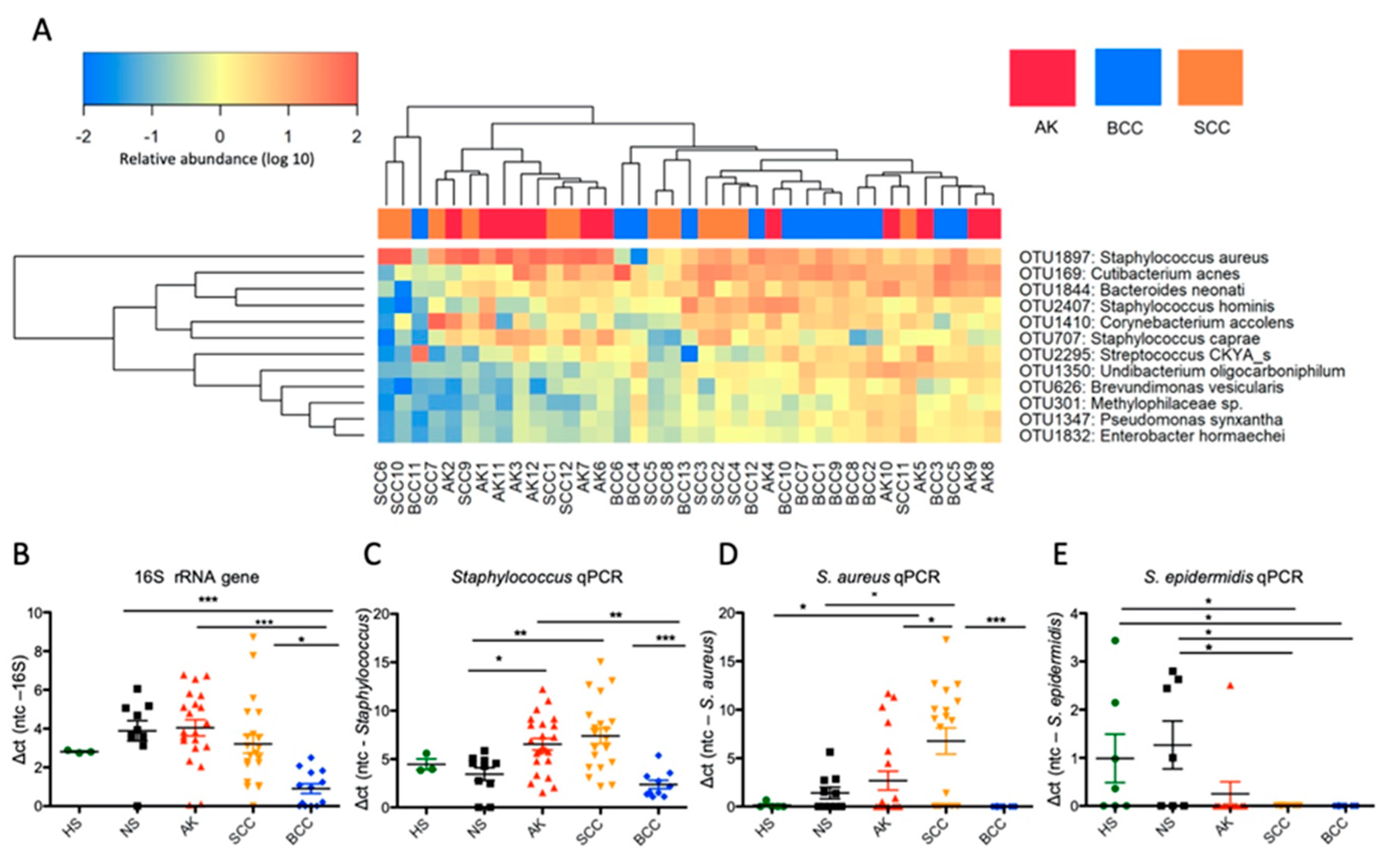Cancers 12 00541 g003