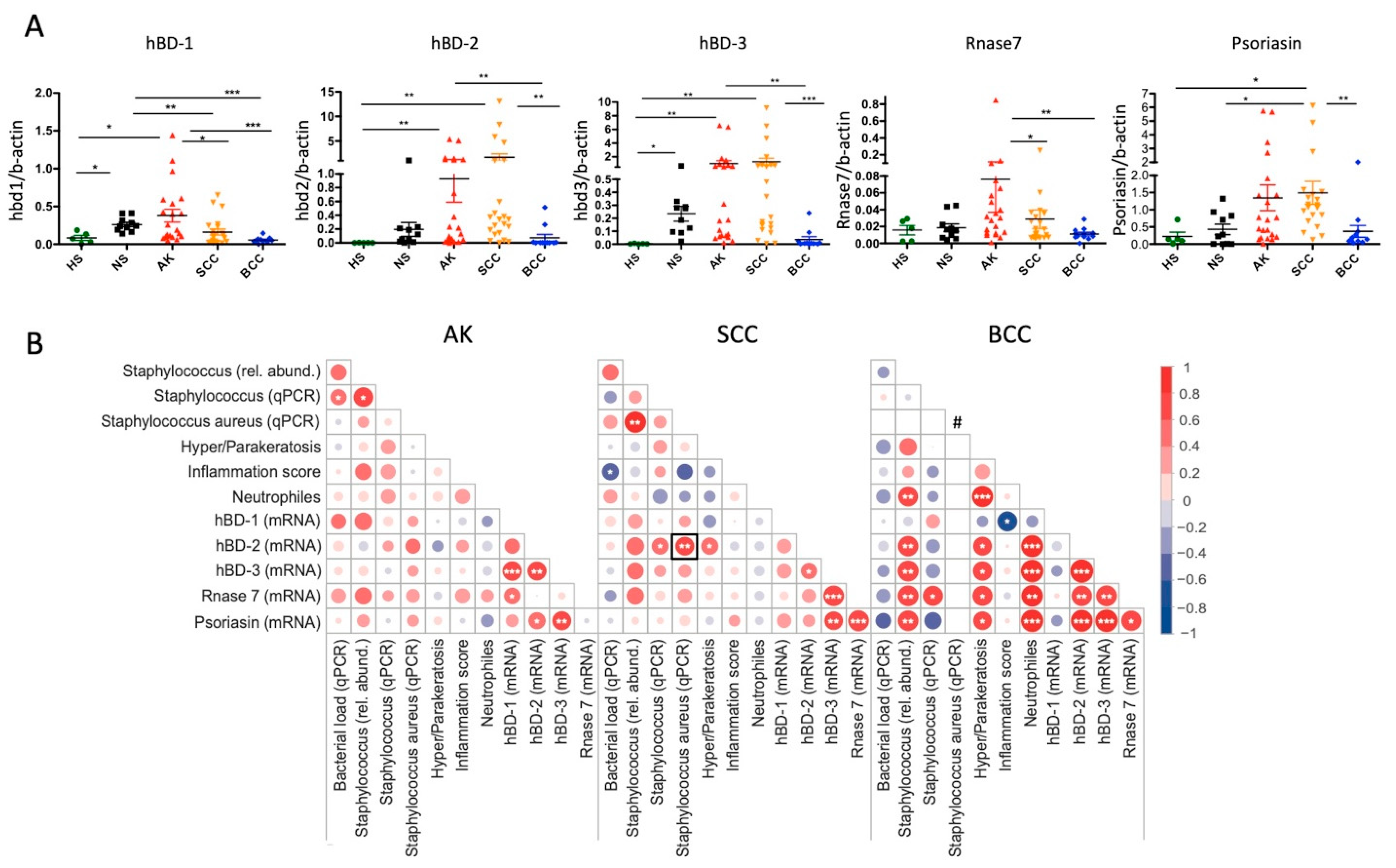 Cancers 12 00541 g005