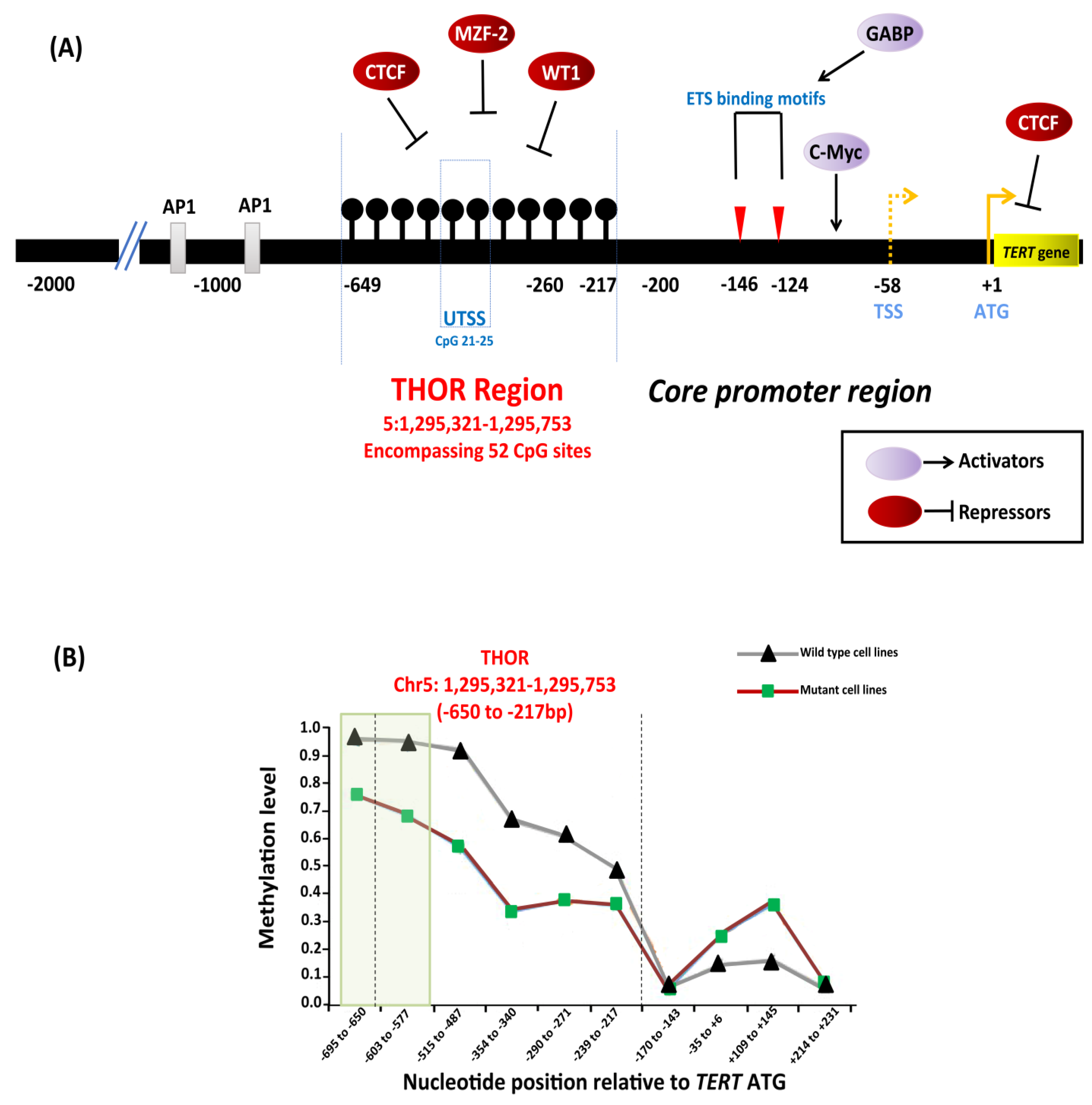 Cancers 12 00558 g007