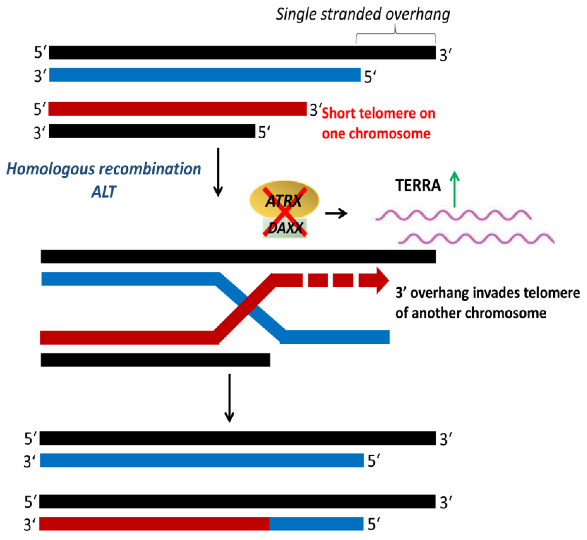 Cancers 12 00558 g008