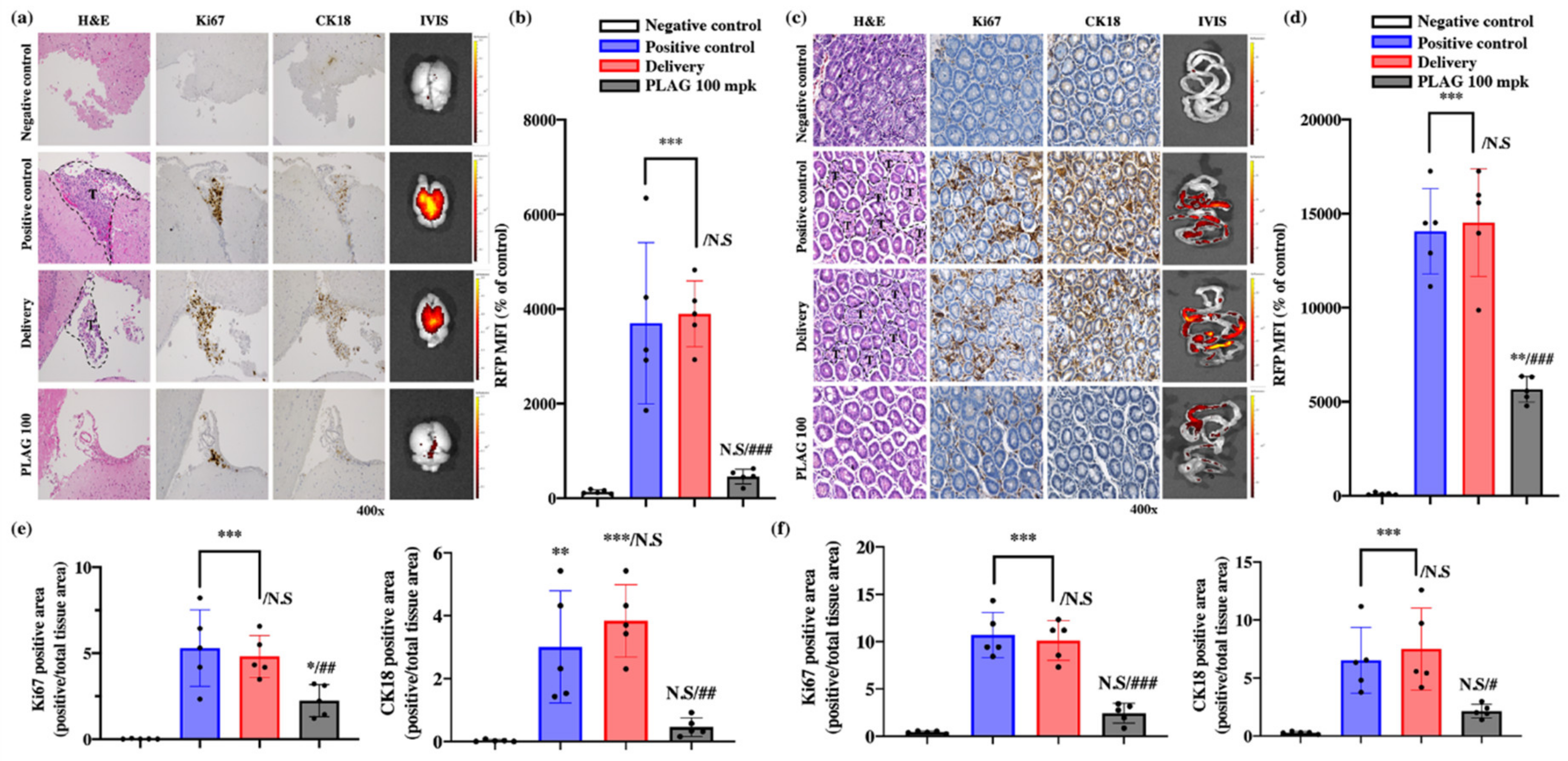 Cancers 12 00560 g002