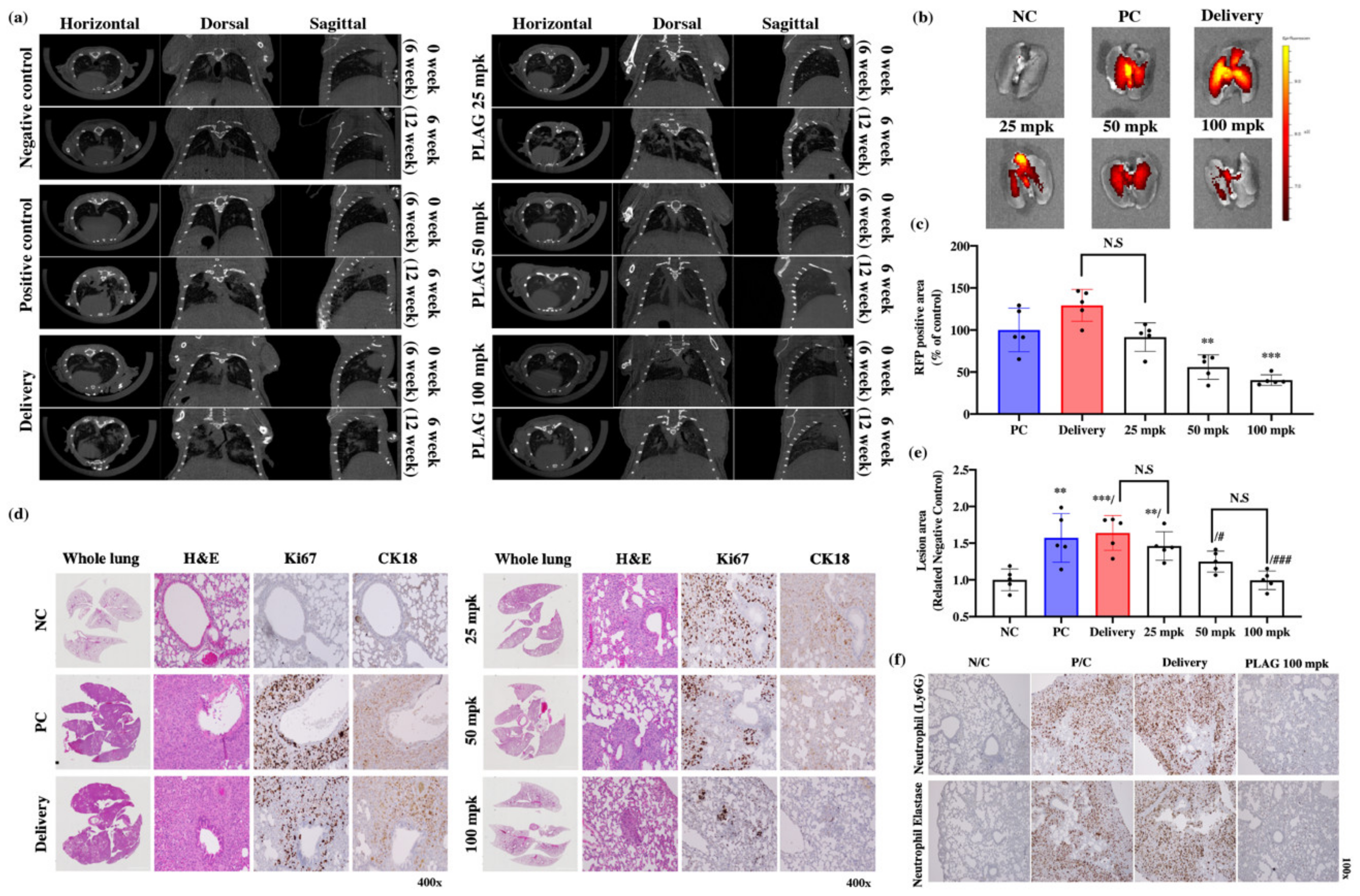 Cancers 12 00560 g003