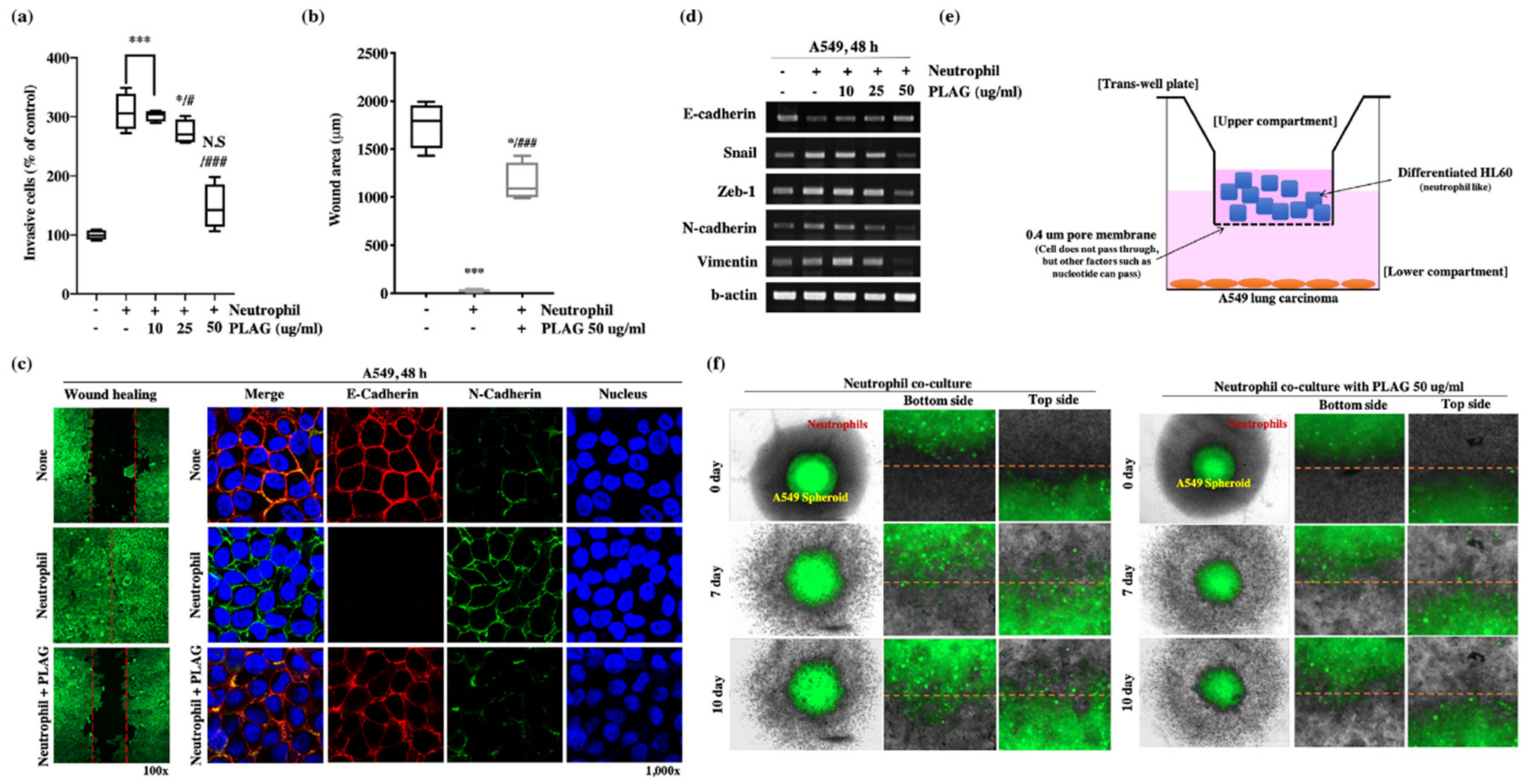 Cancers 12 00560 g004