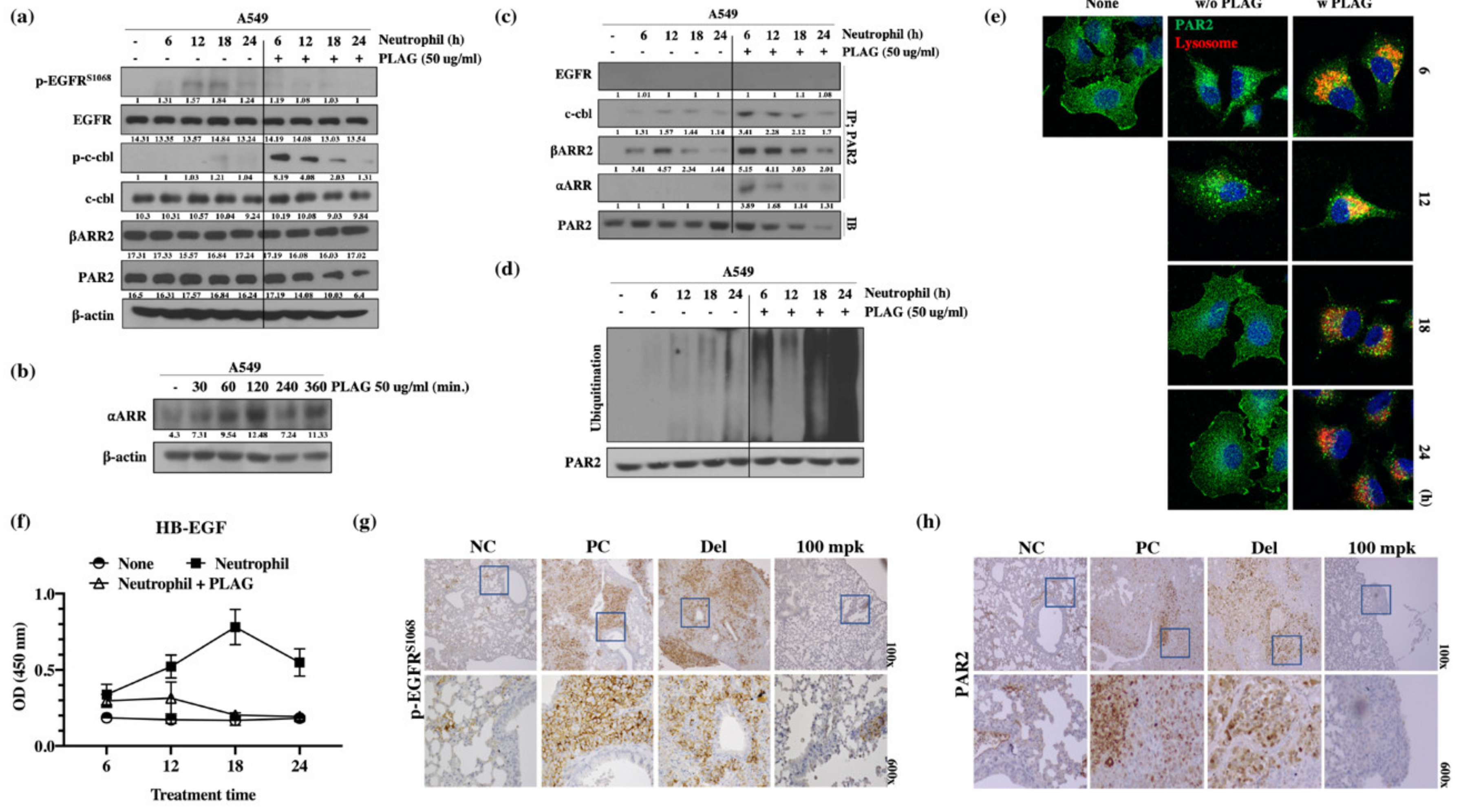 Cancers 12 00560 g005