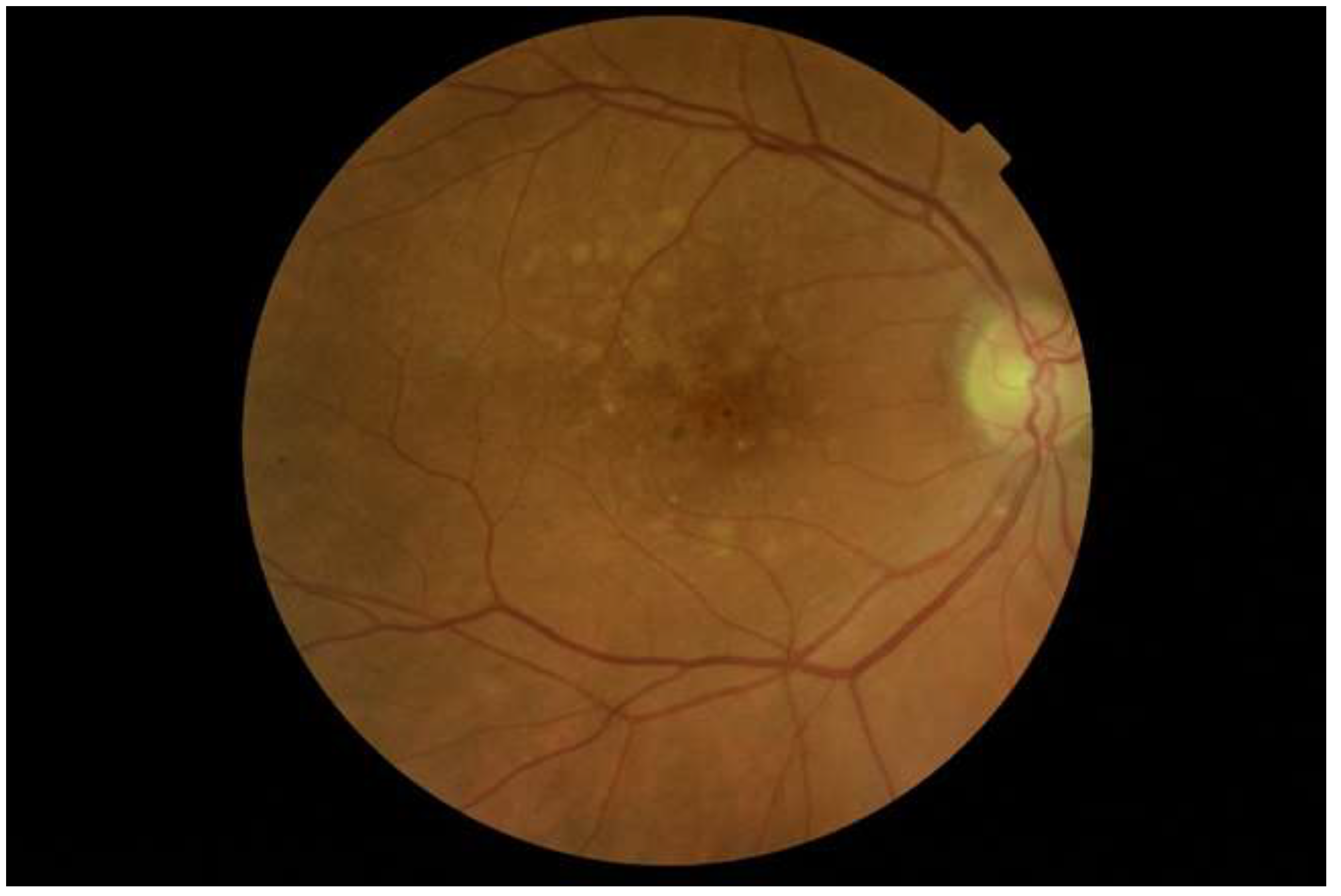 Cancers 12 00573 g001 Cancers 12 00573 g001