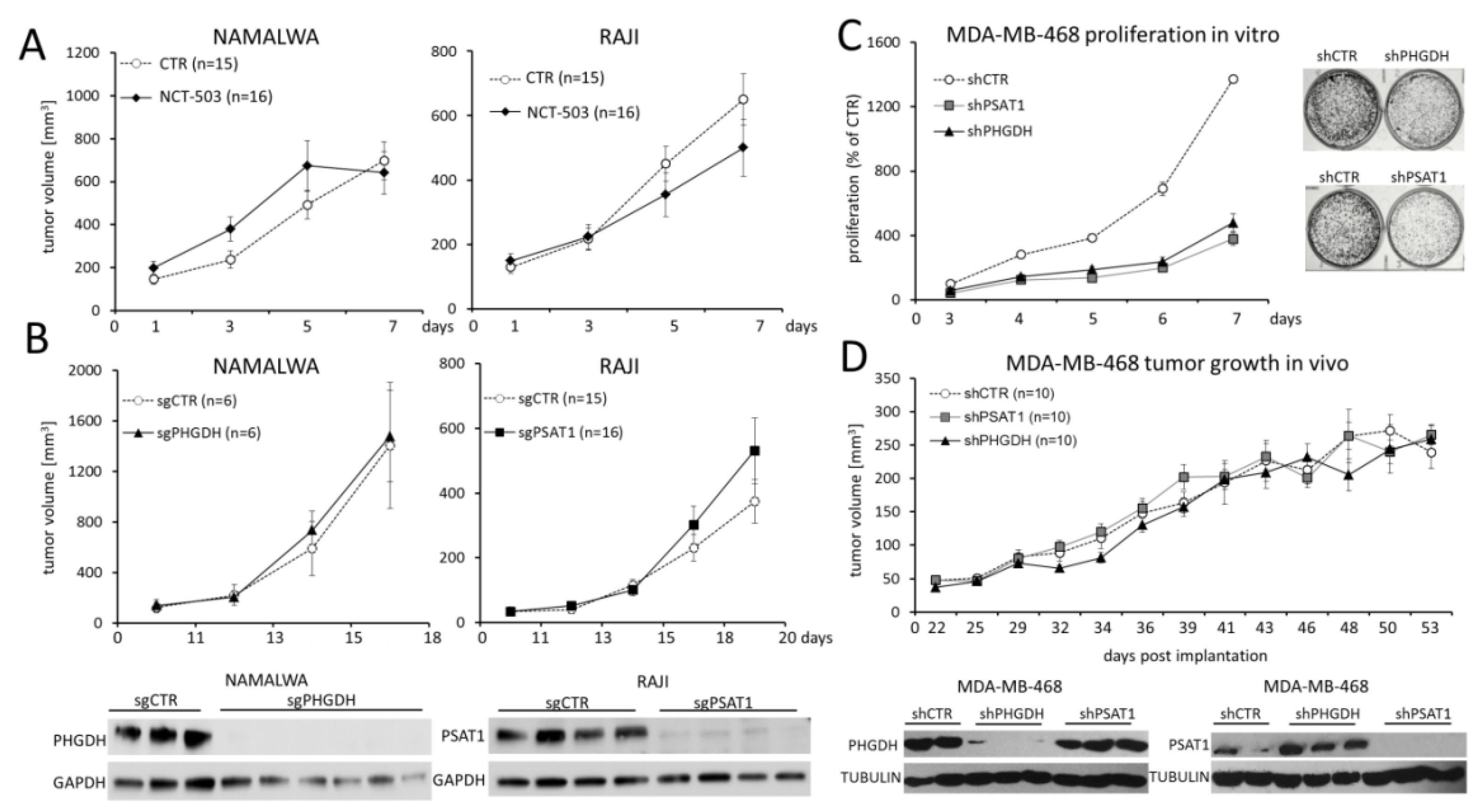 Cancers 12 00580 g006