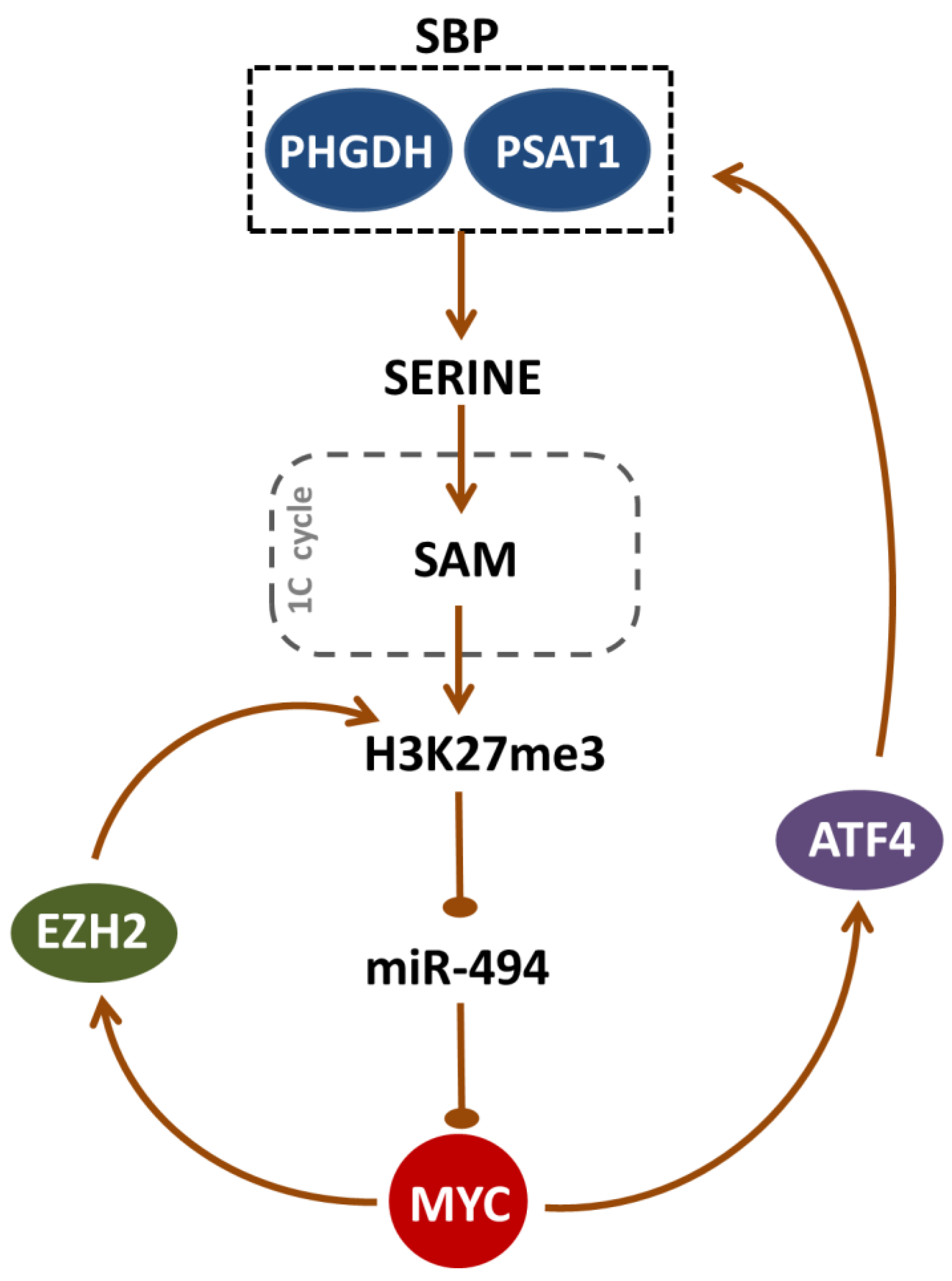 Cancers 12 00580 g007