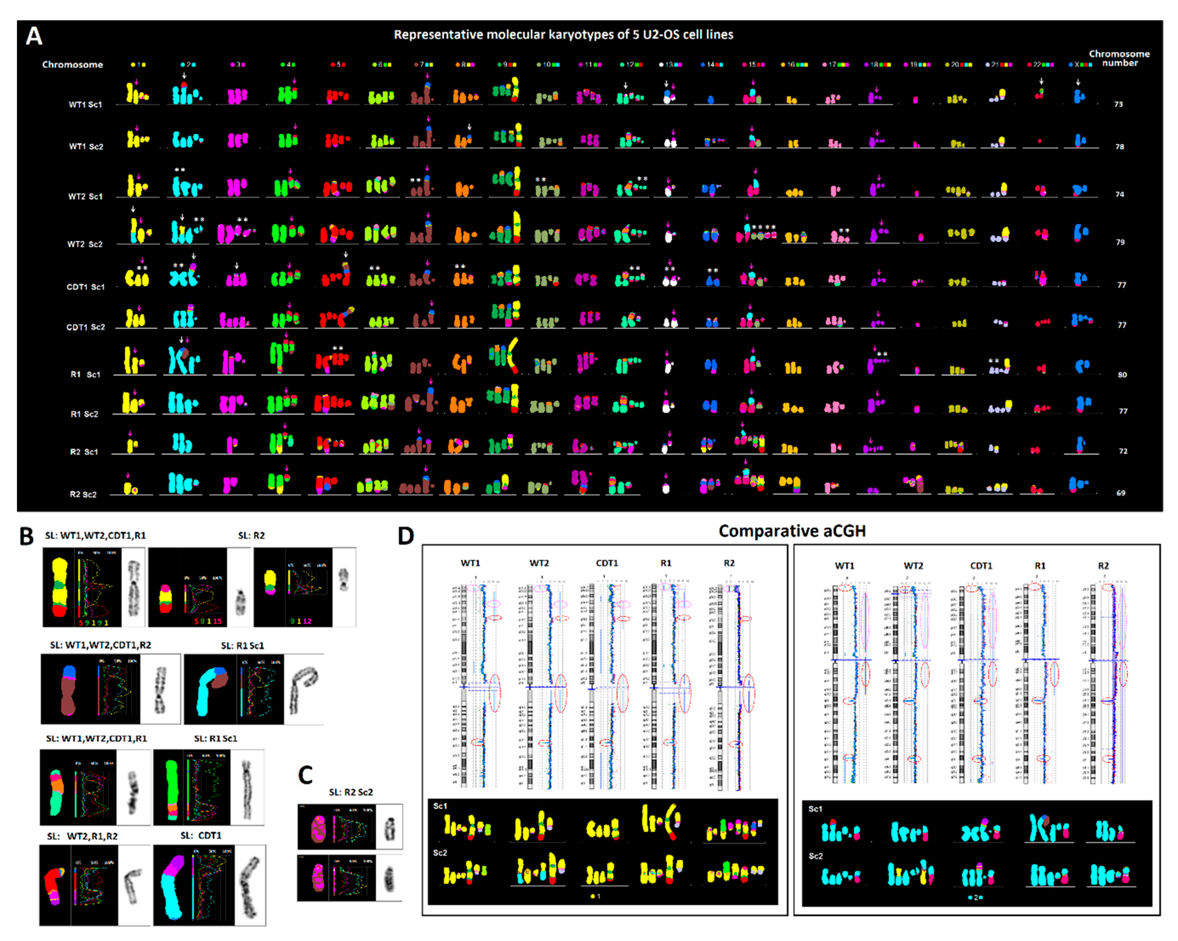 Cancers 12 00591 g001