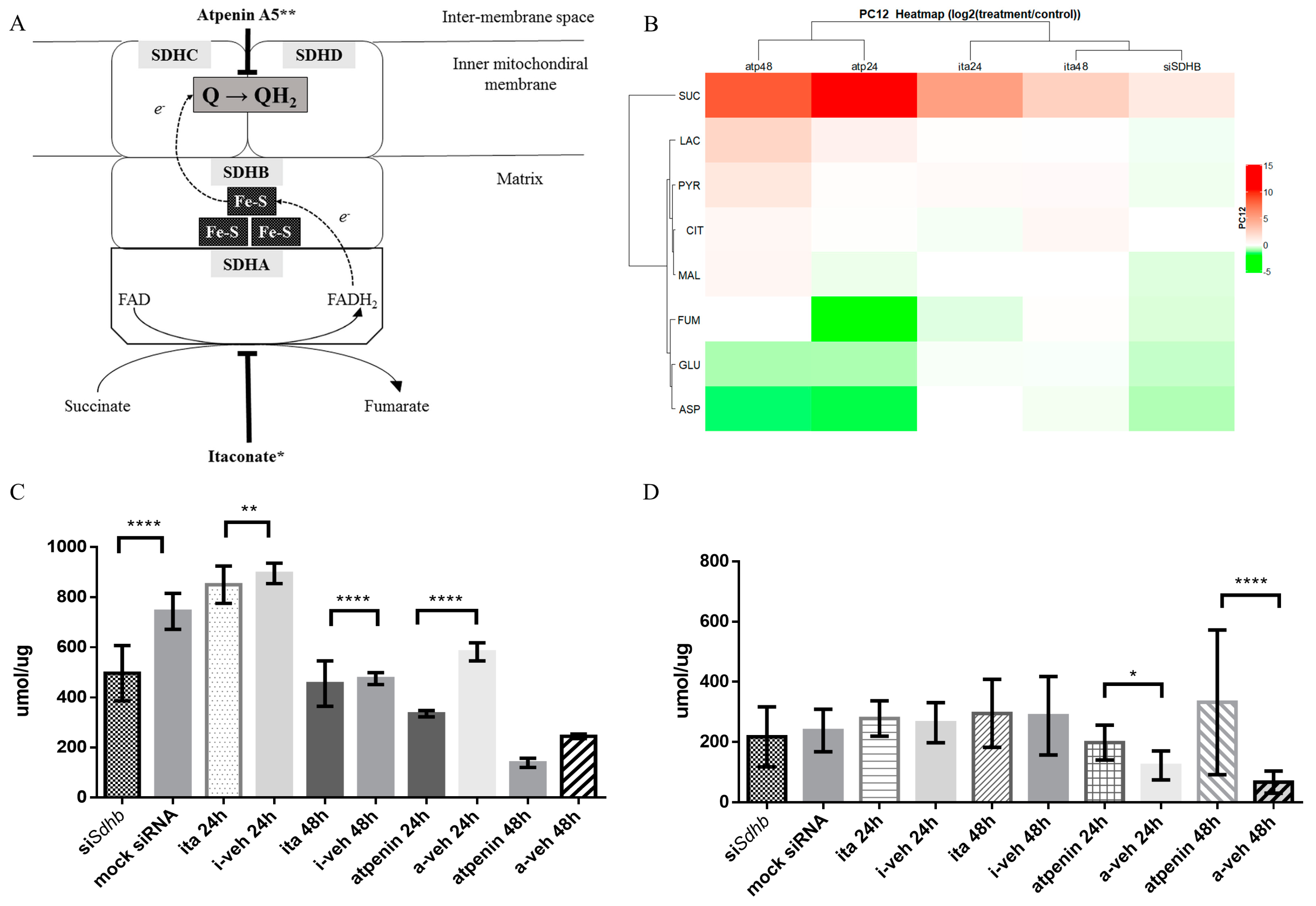Cancers 12 00599 g004