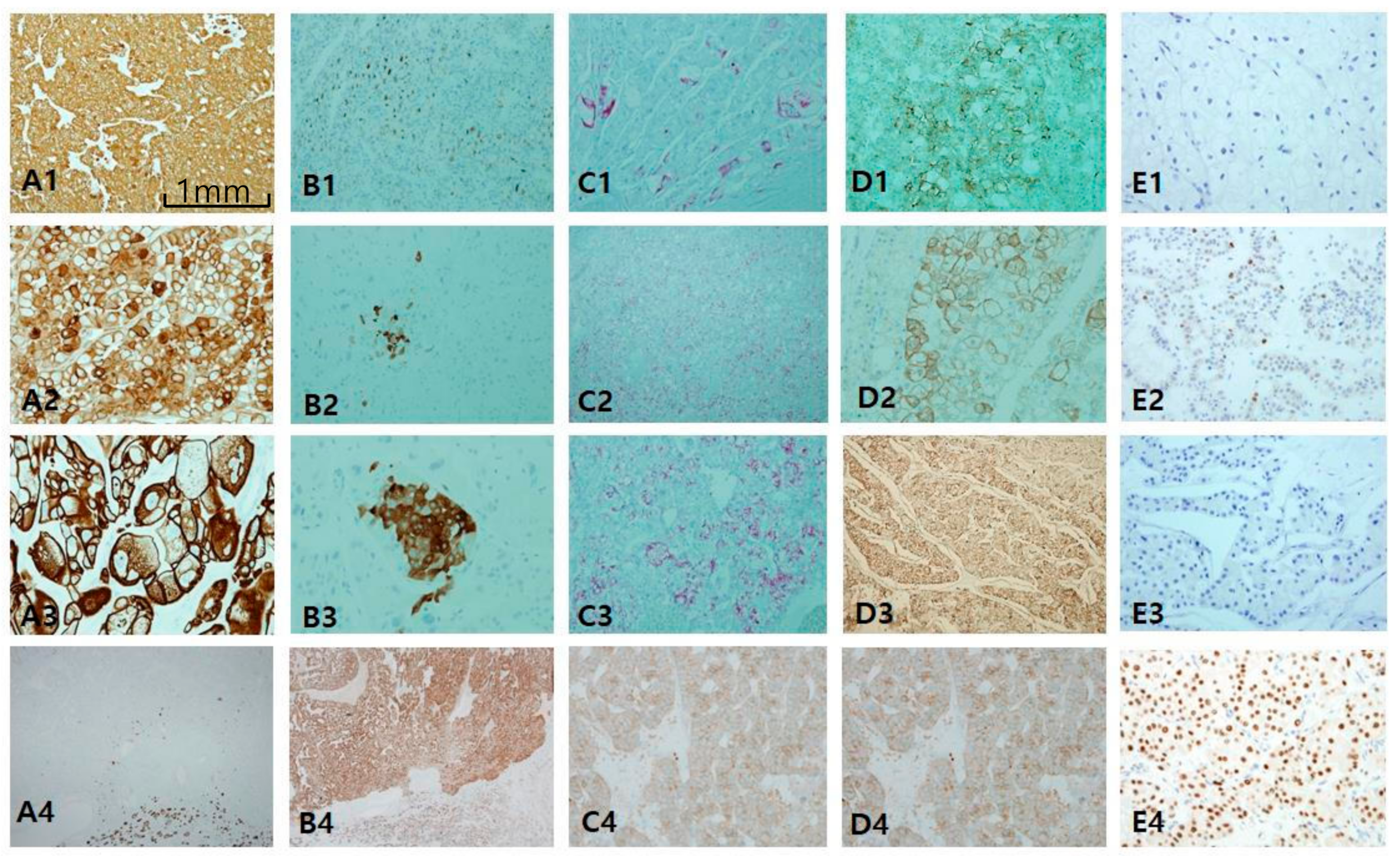 Cancers 12 00602 g006