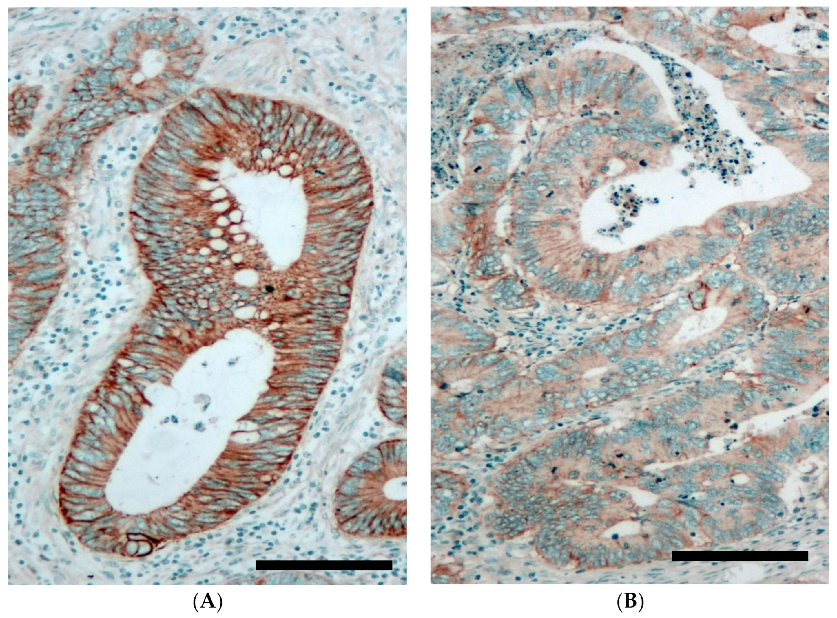 Cancers 12 00614 g001