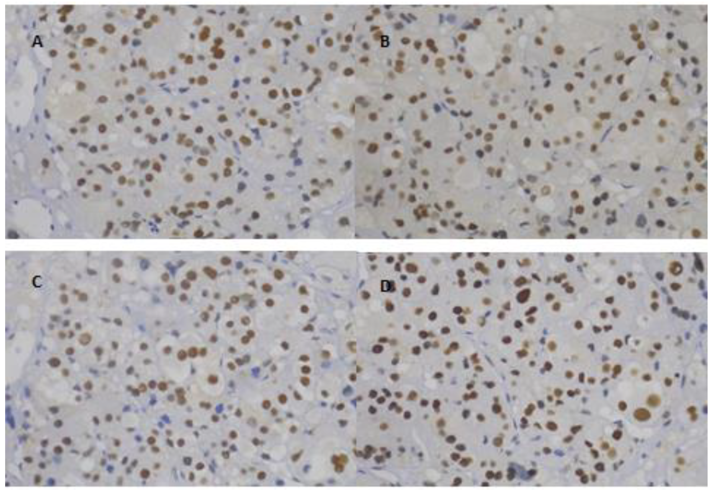 Cancers 12 00621 g001 Cancers 12 00621 g001