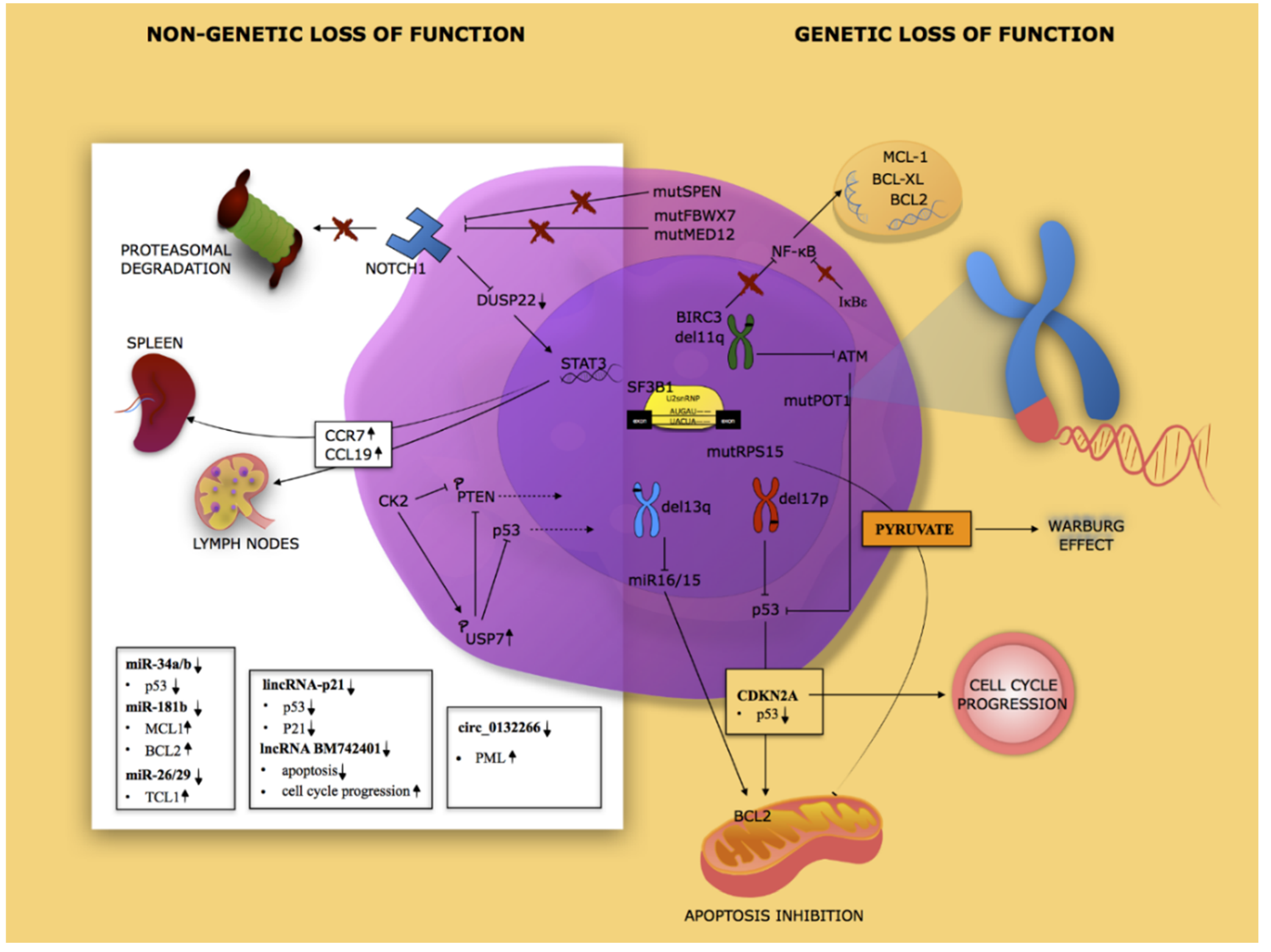 Cancers 12 00629 g001