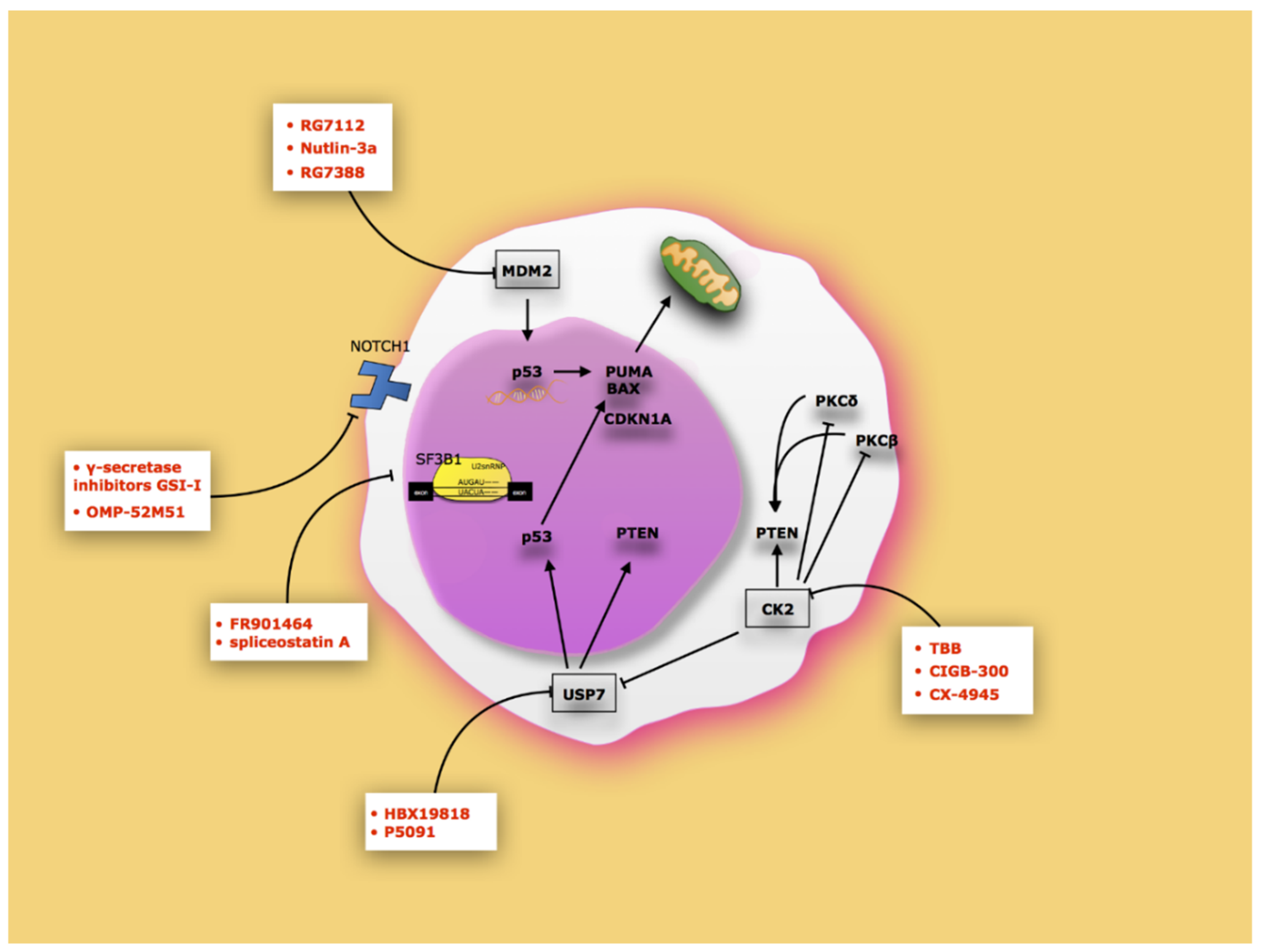 Cancers 12 00629 g002