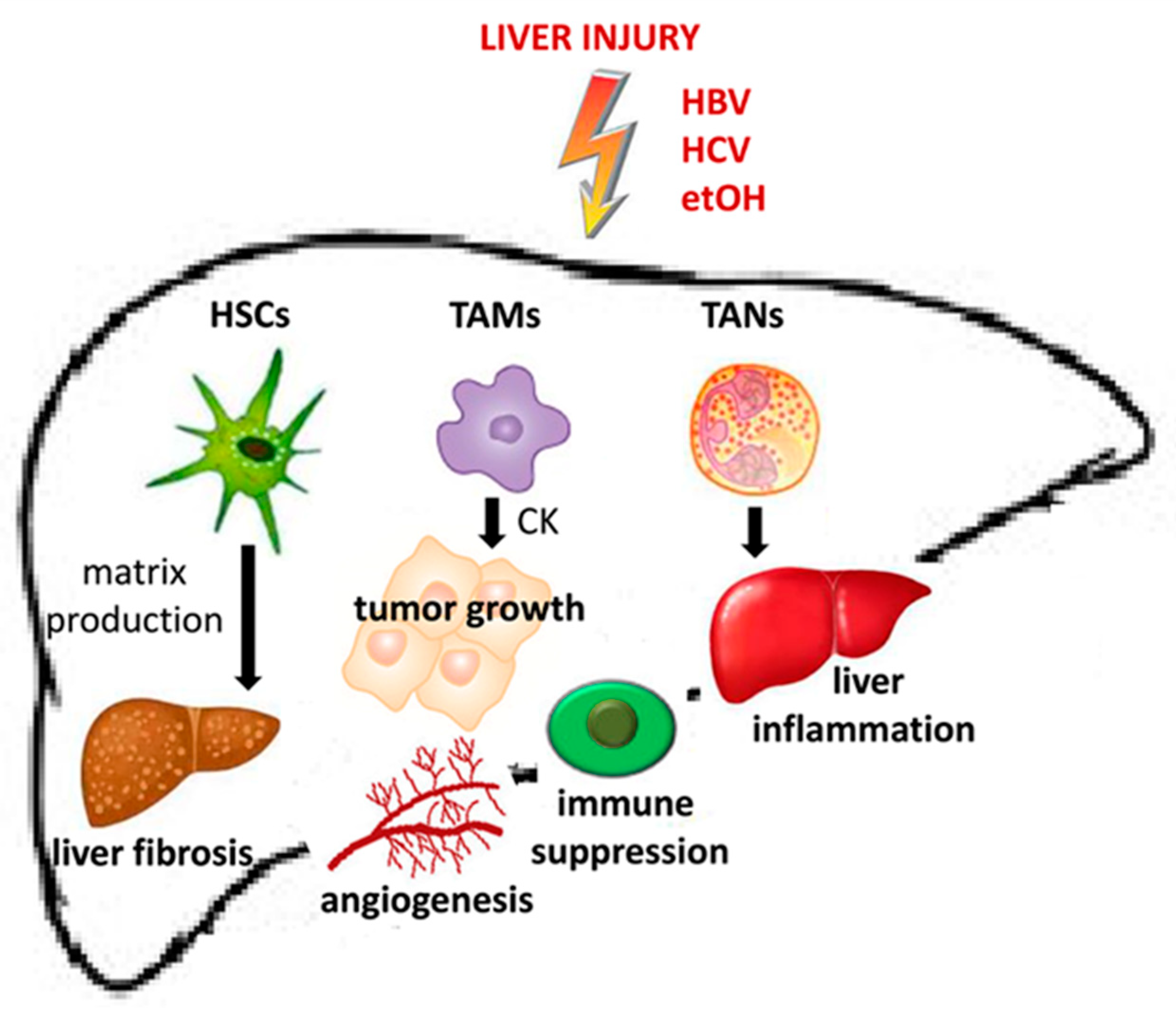 Cancers 12 00641 g001