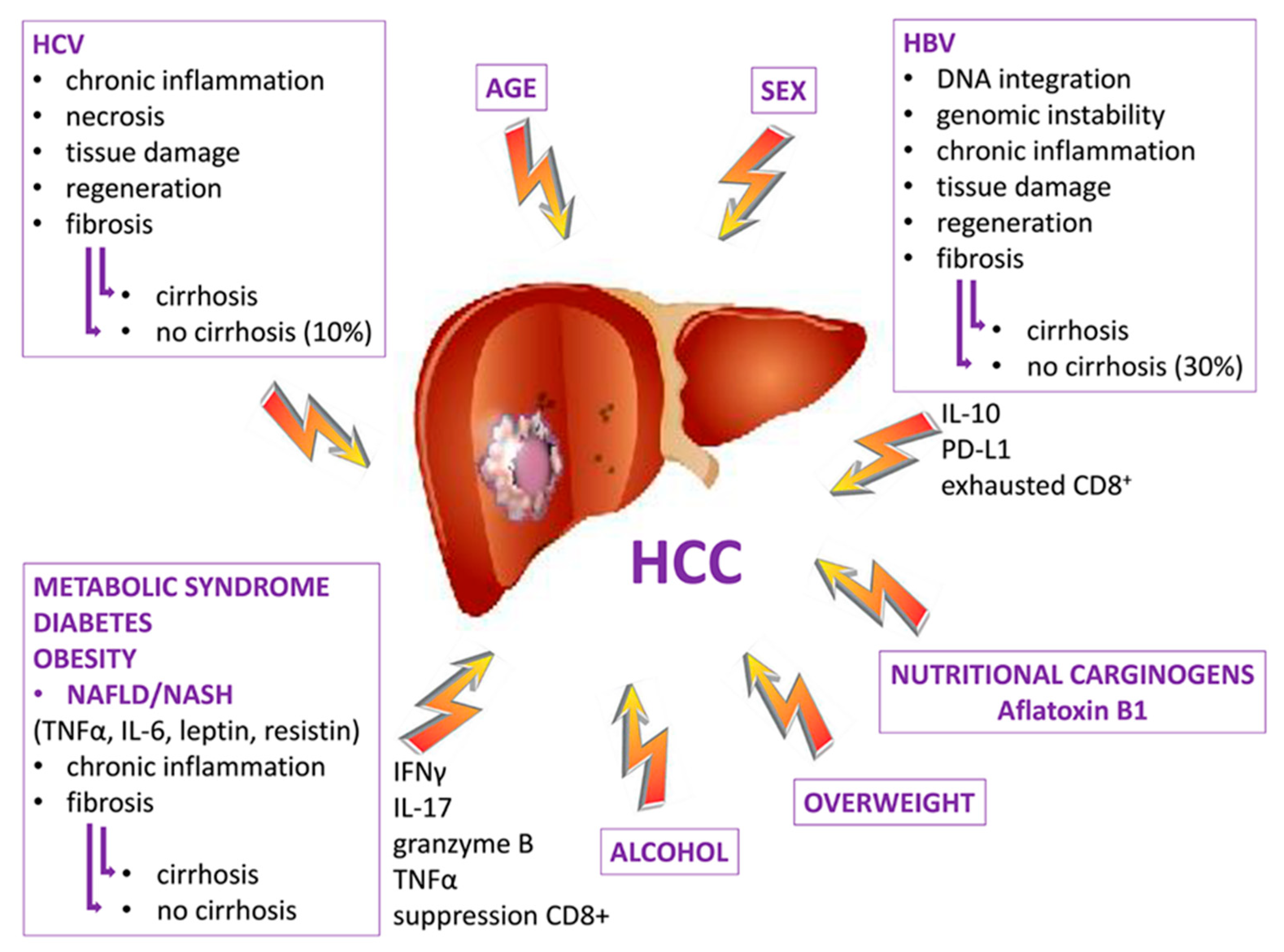 Cancers 12 00641 g003