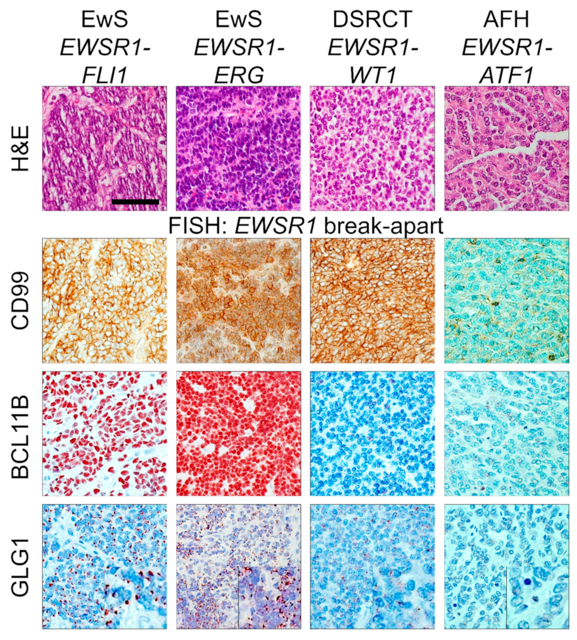 Cancers 12 00644 g001