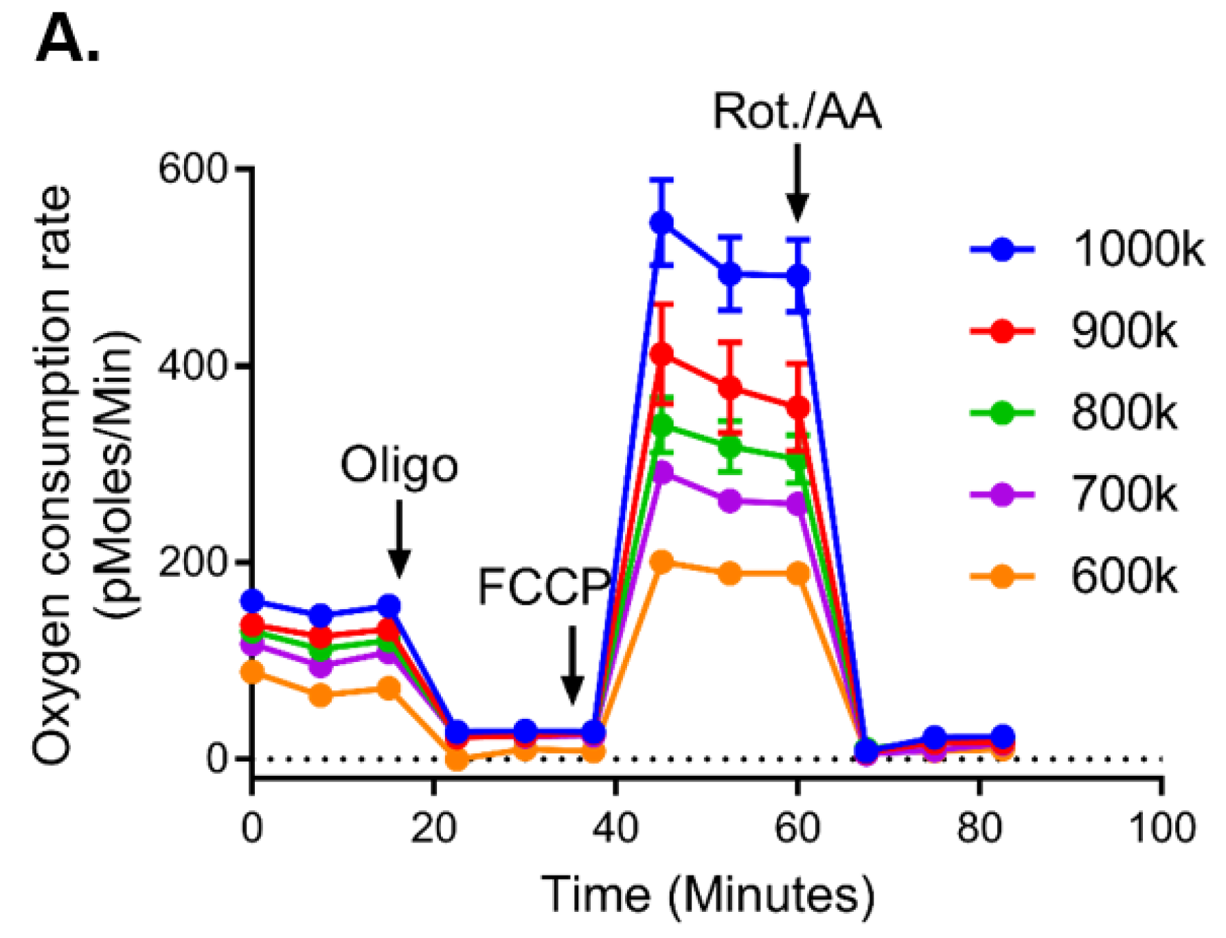Cancers 12 00650 g001a Cancers 12 00650 g001a