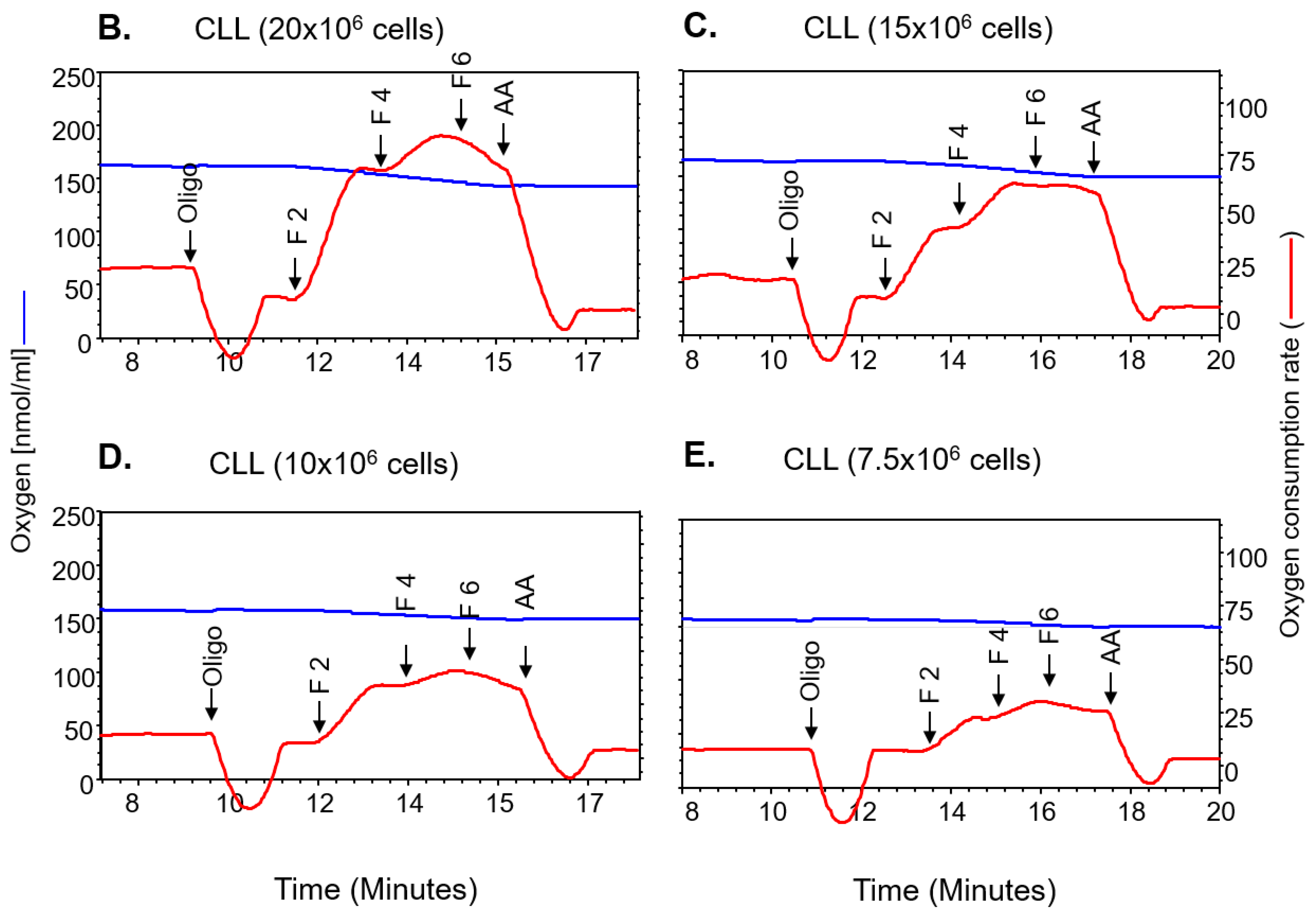 Cancers 12 00650 g001b Cancers 12 00650 g001b