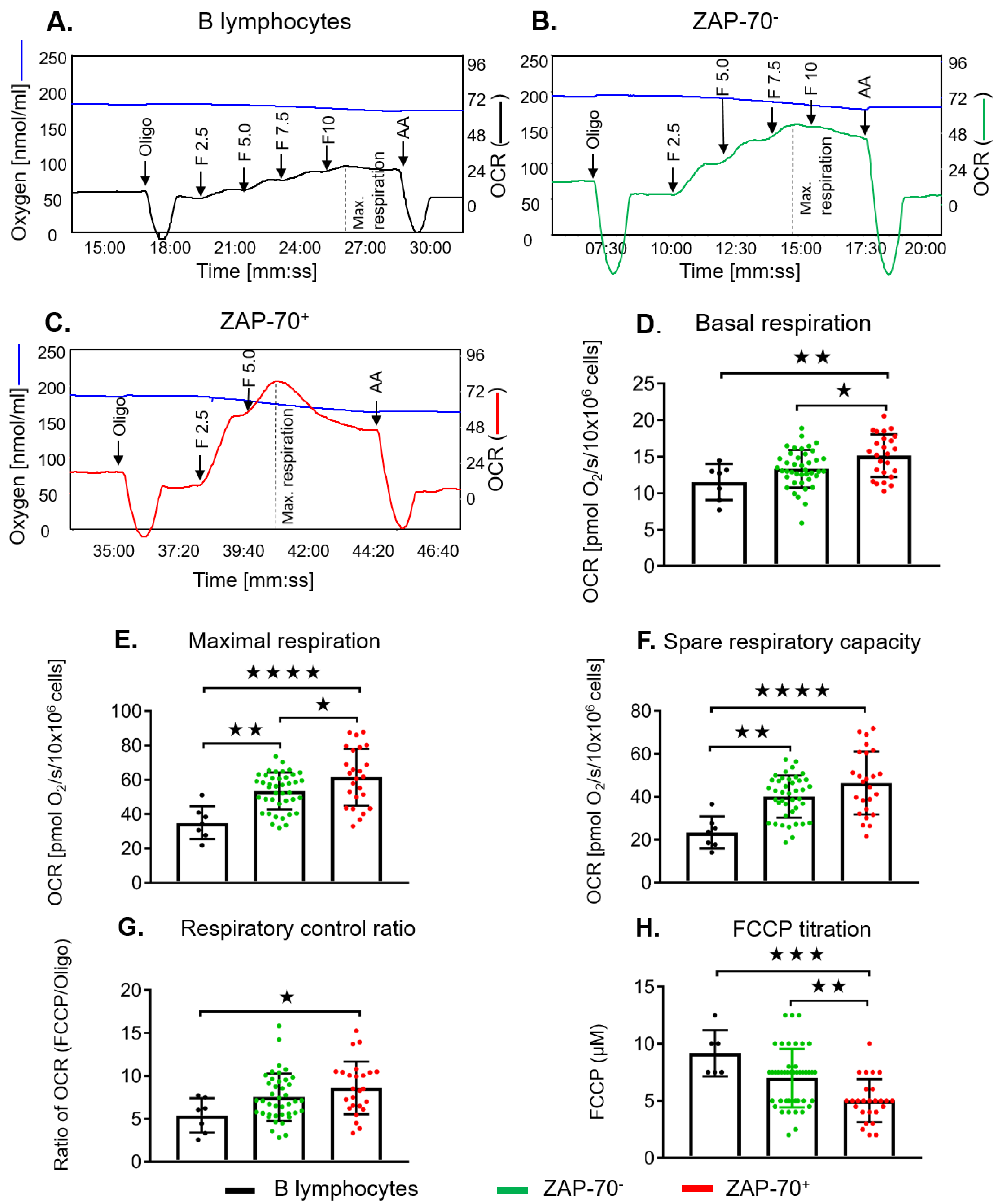 Cancers 12 00650 g004 Cancers 12 00650 g004