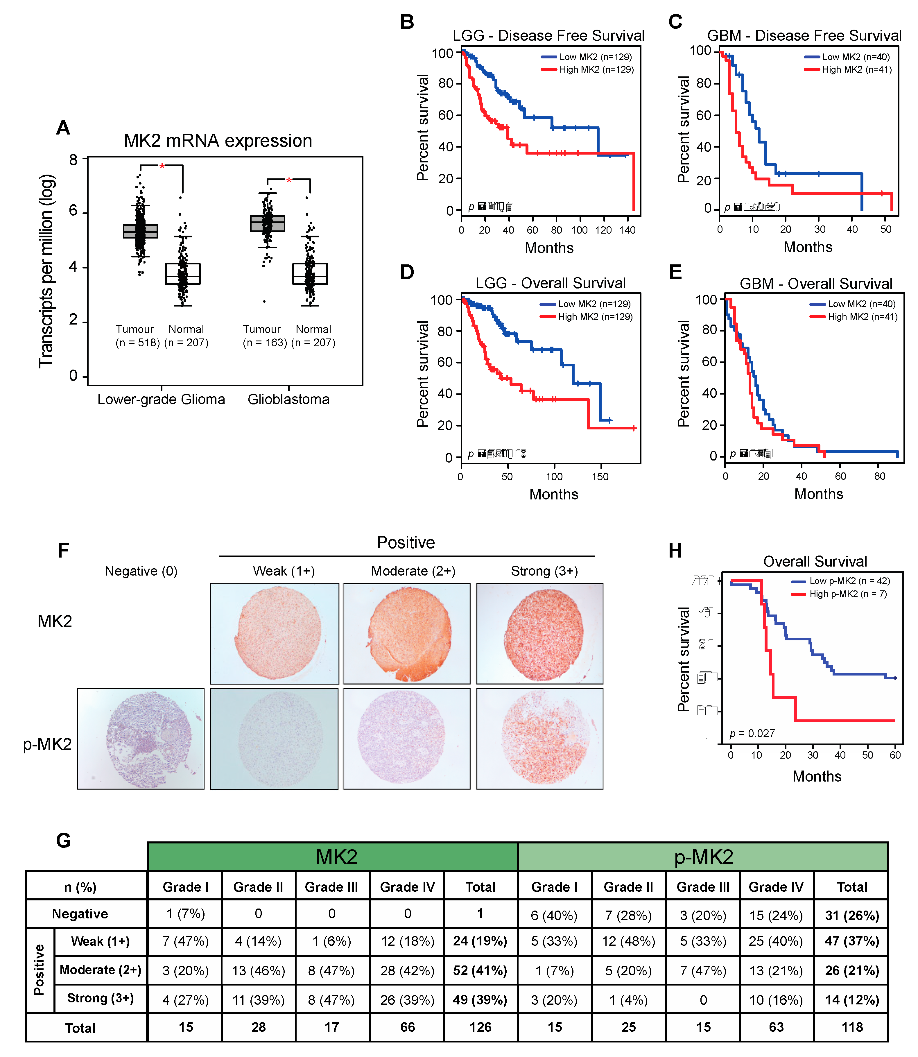 Cancers 12 00654 g001
