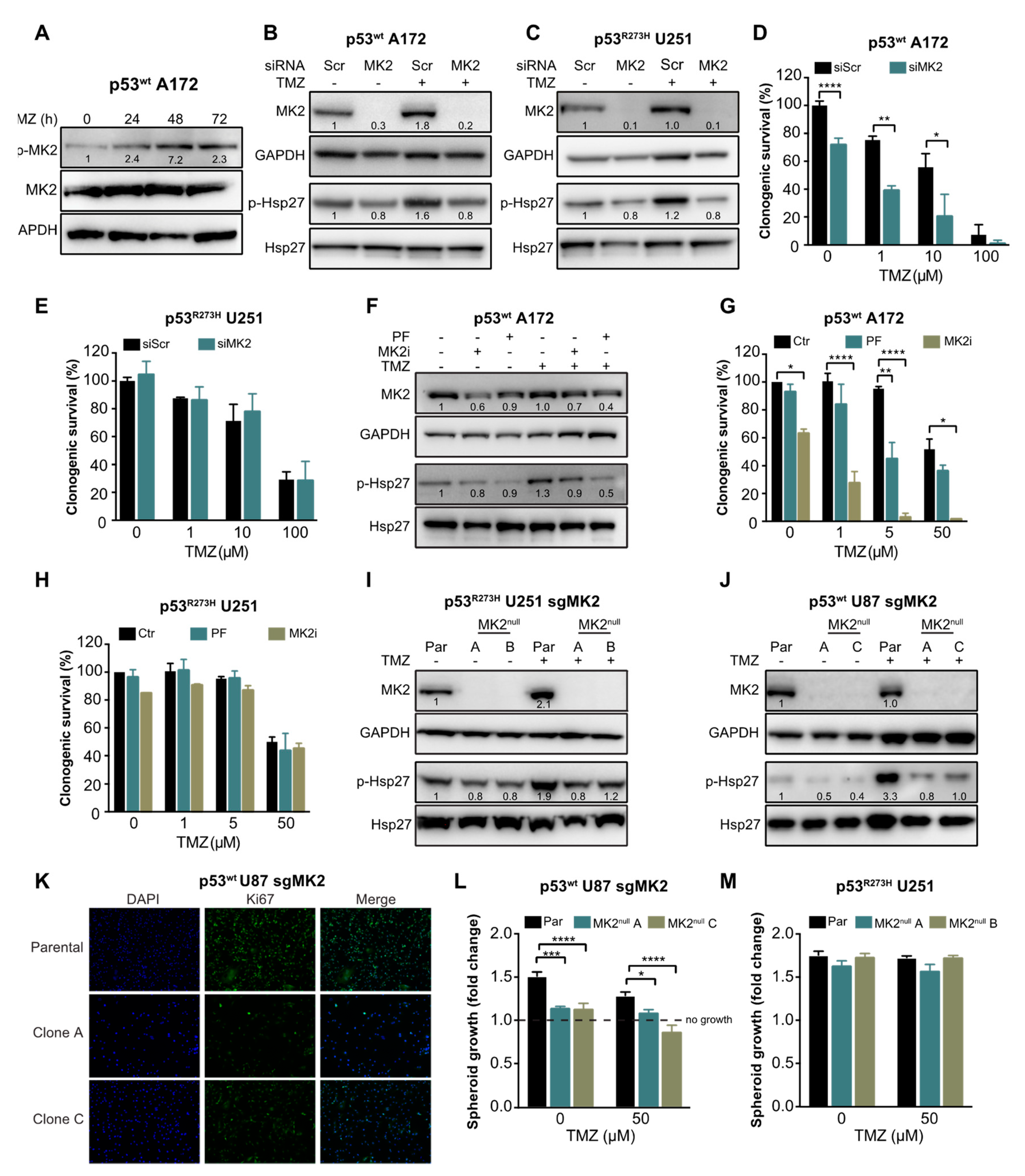 Cancers 12 00654 g002