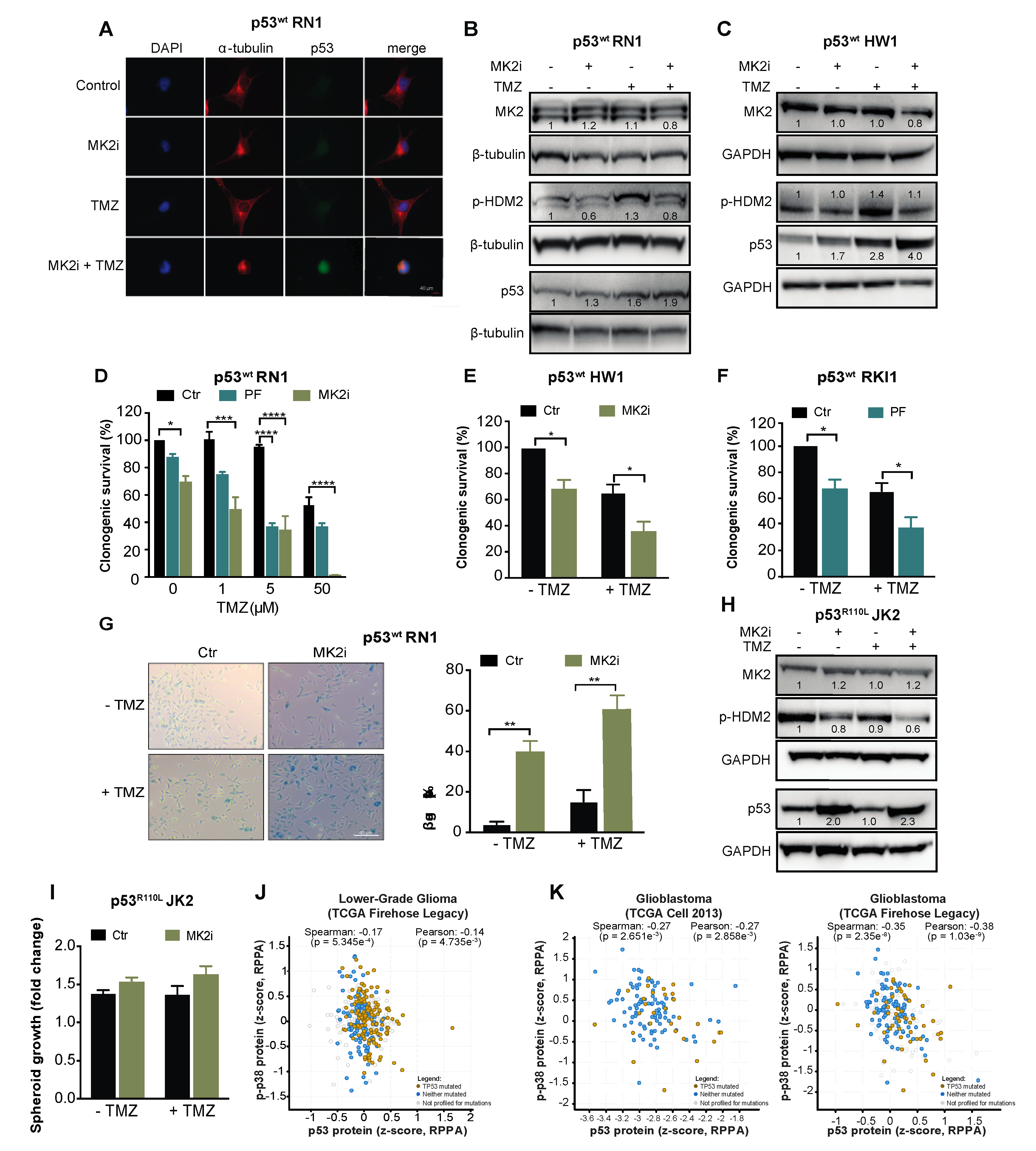 Cancers 12 00654 g006