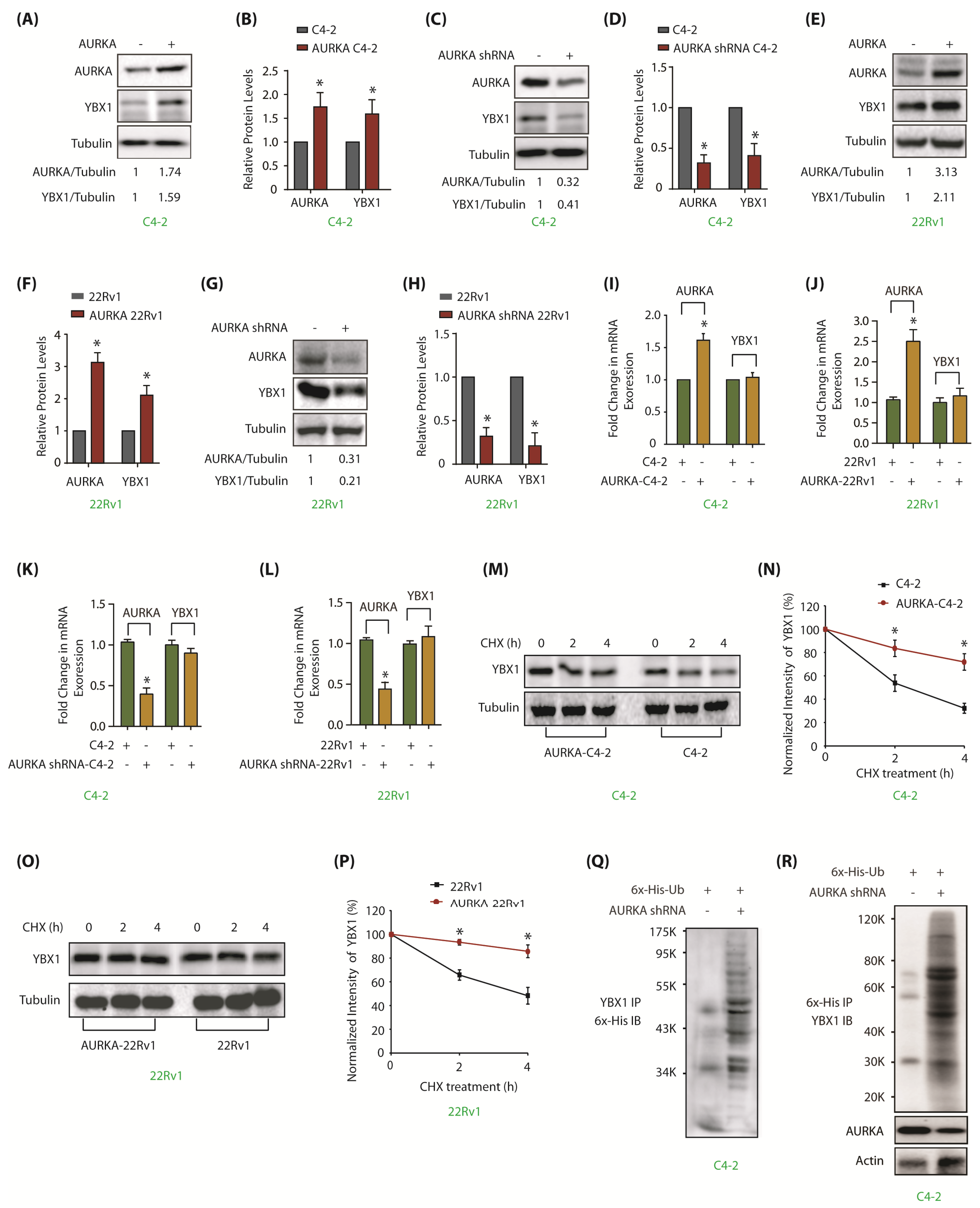 Cancers 12 00660 g002 Cancers 12 00660 g002