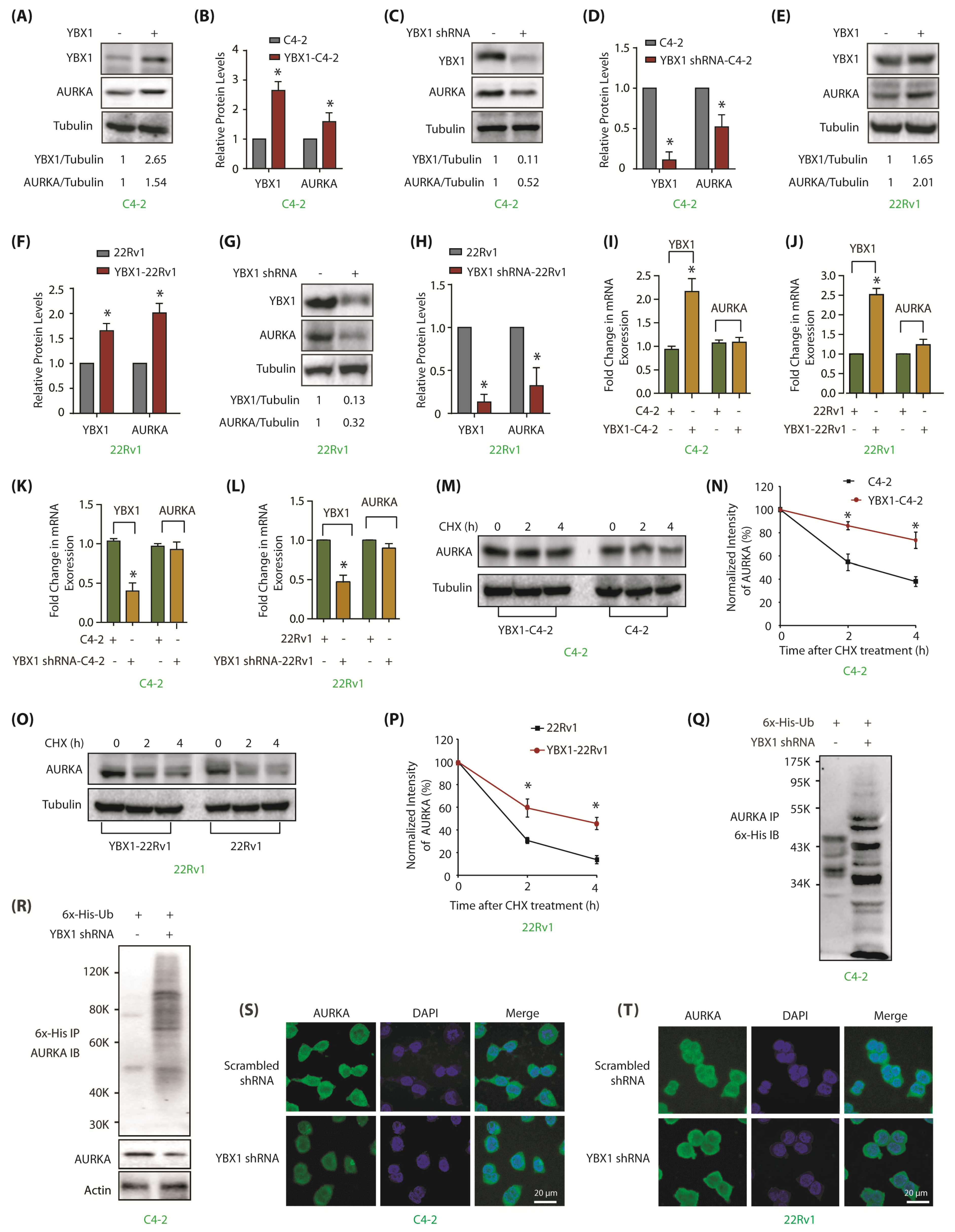 Cancers 12 00660 g003 Cancers 12 00660 g003