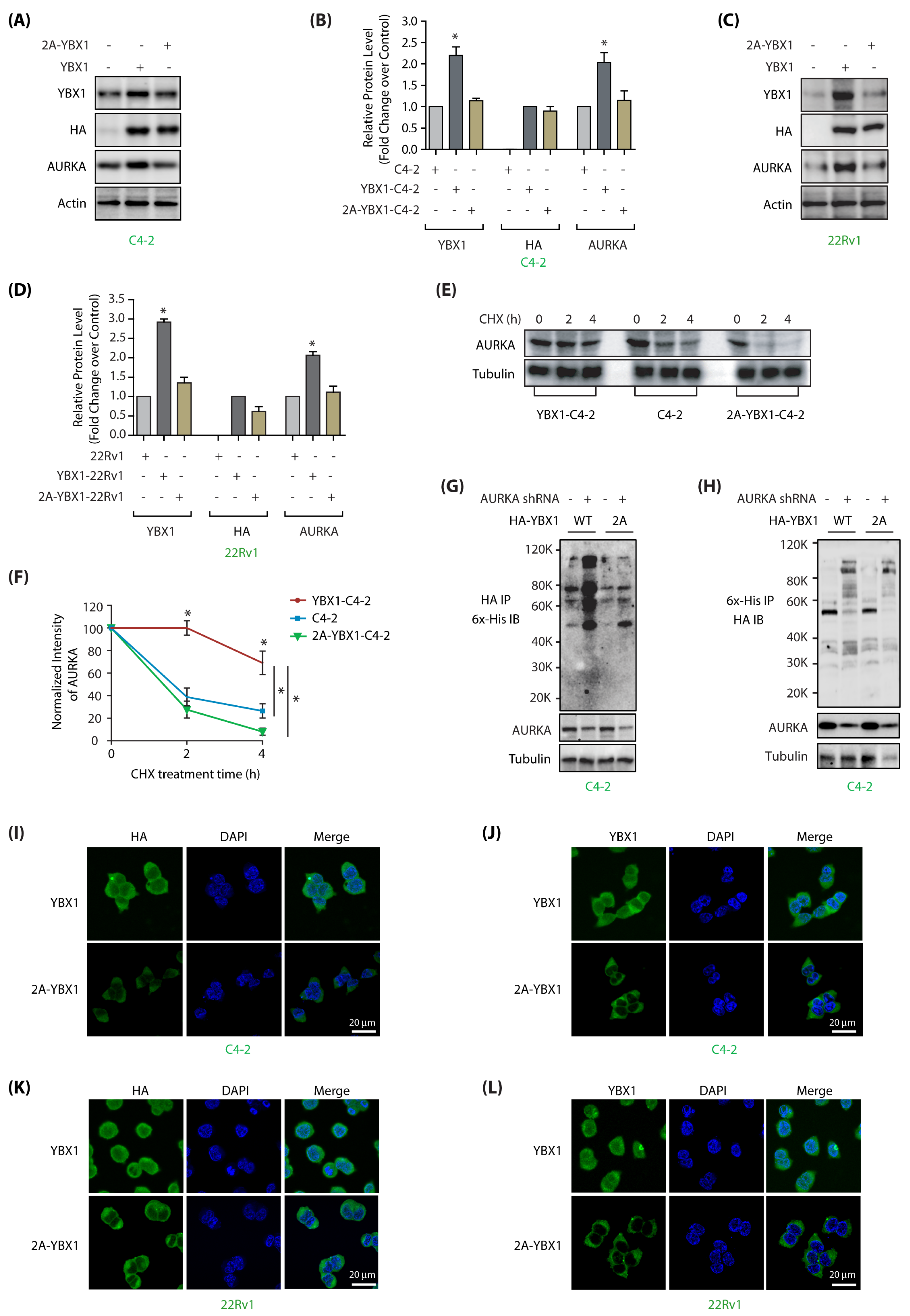 Cancers 12 00660 g004 Cancers 12 00660 g004