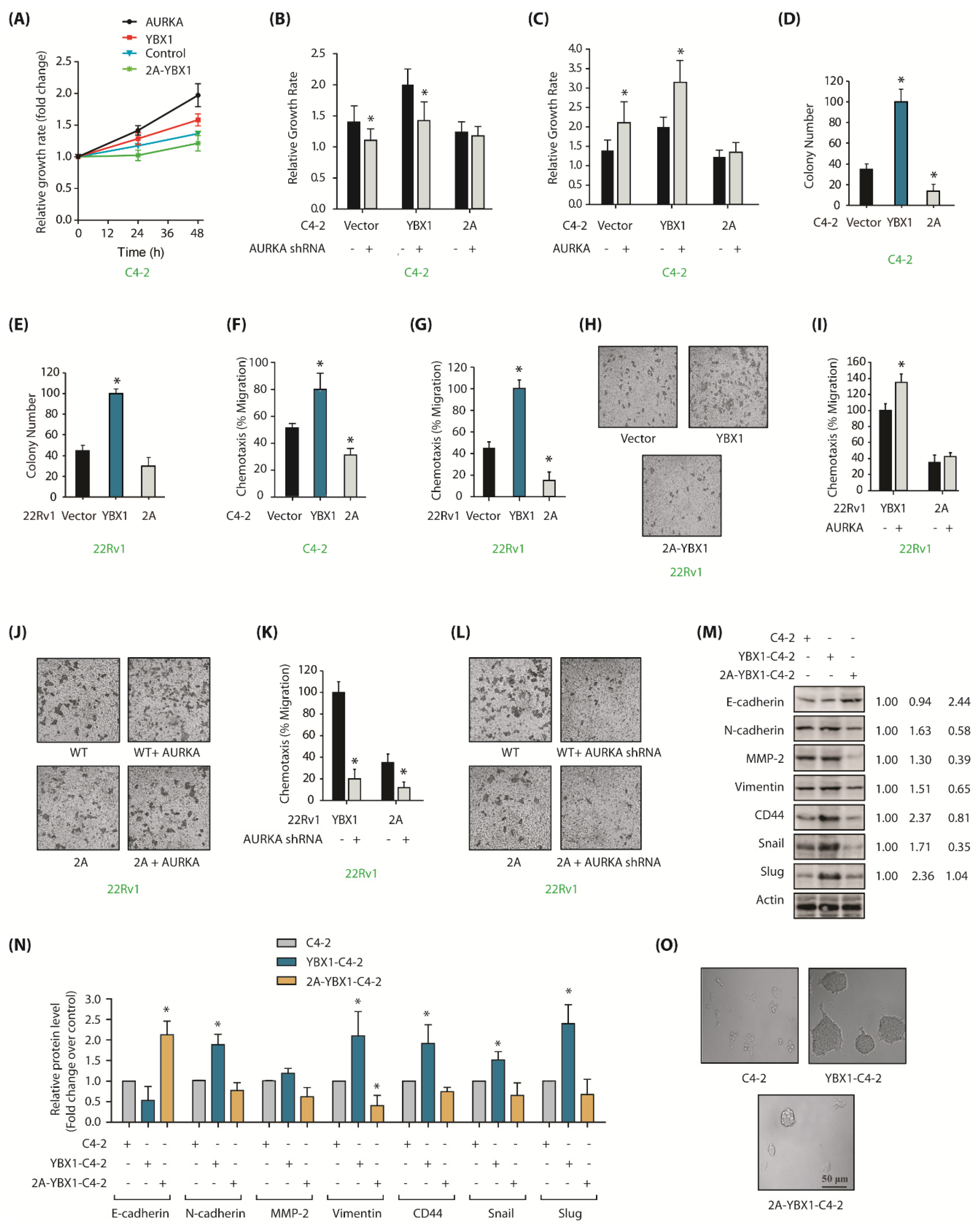 Cancers 12 00660 g005 Cancers 12 00660 g005