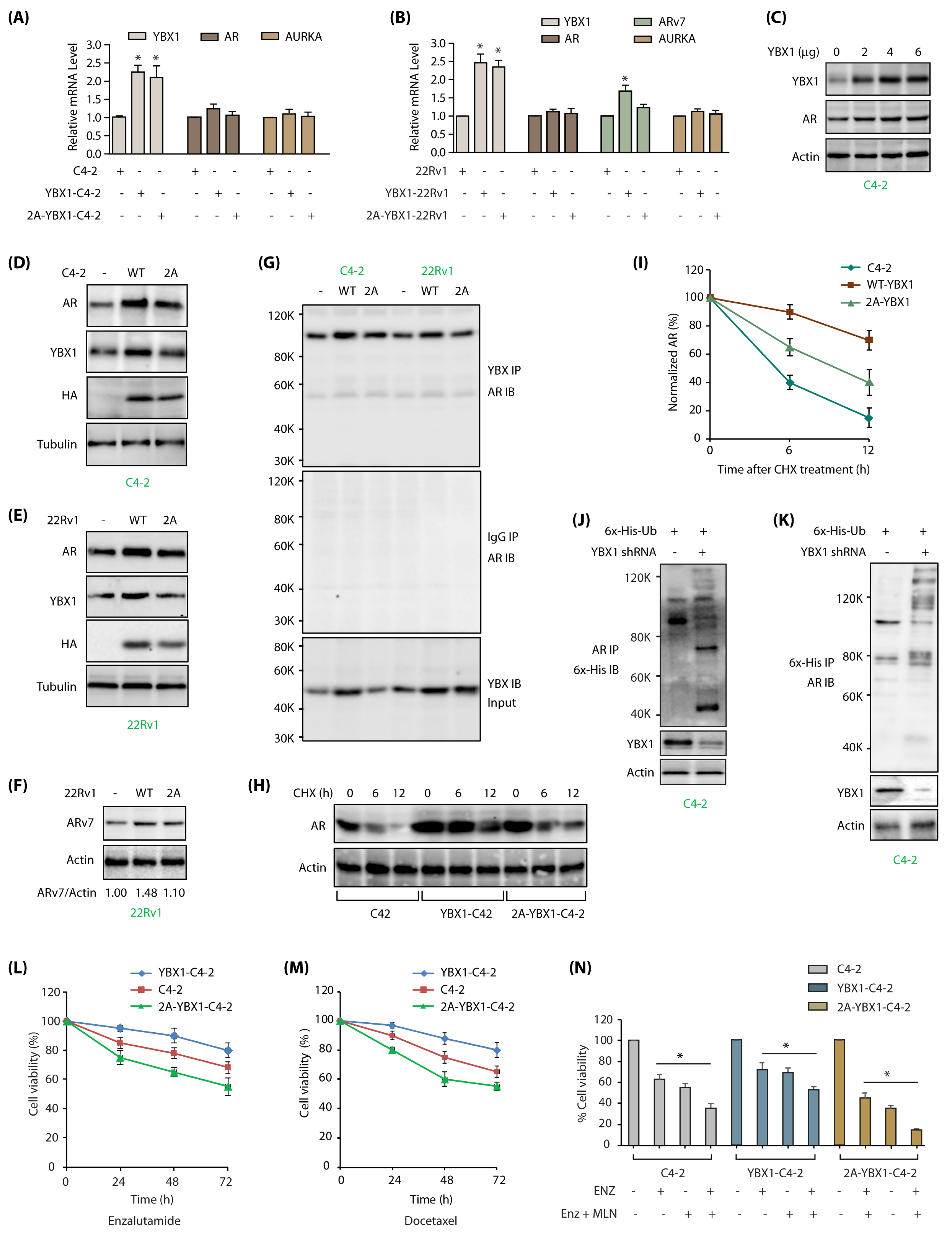 Cancers 12 00660 g006 Cancers 12 00660 g006