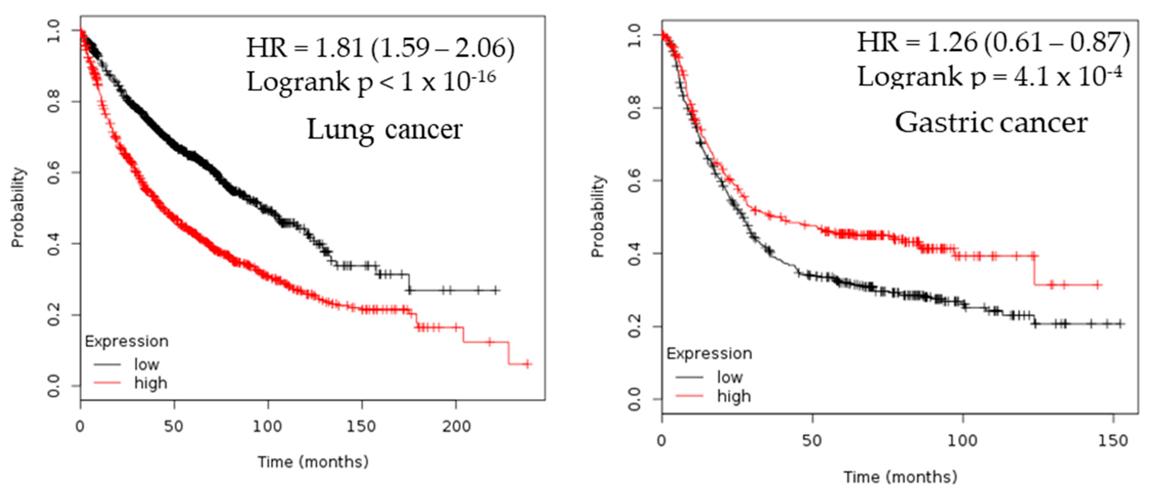 Cancers 12 00662 g003b