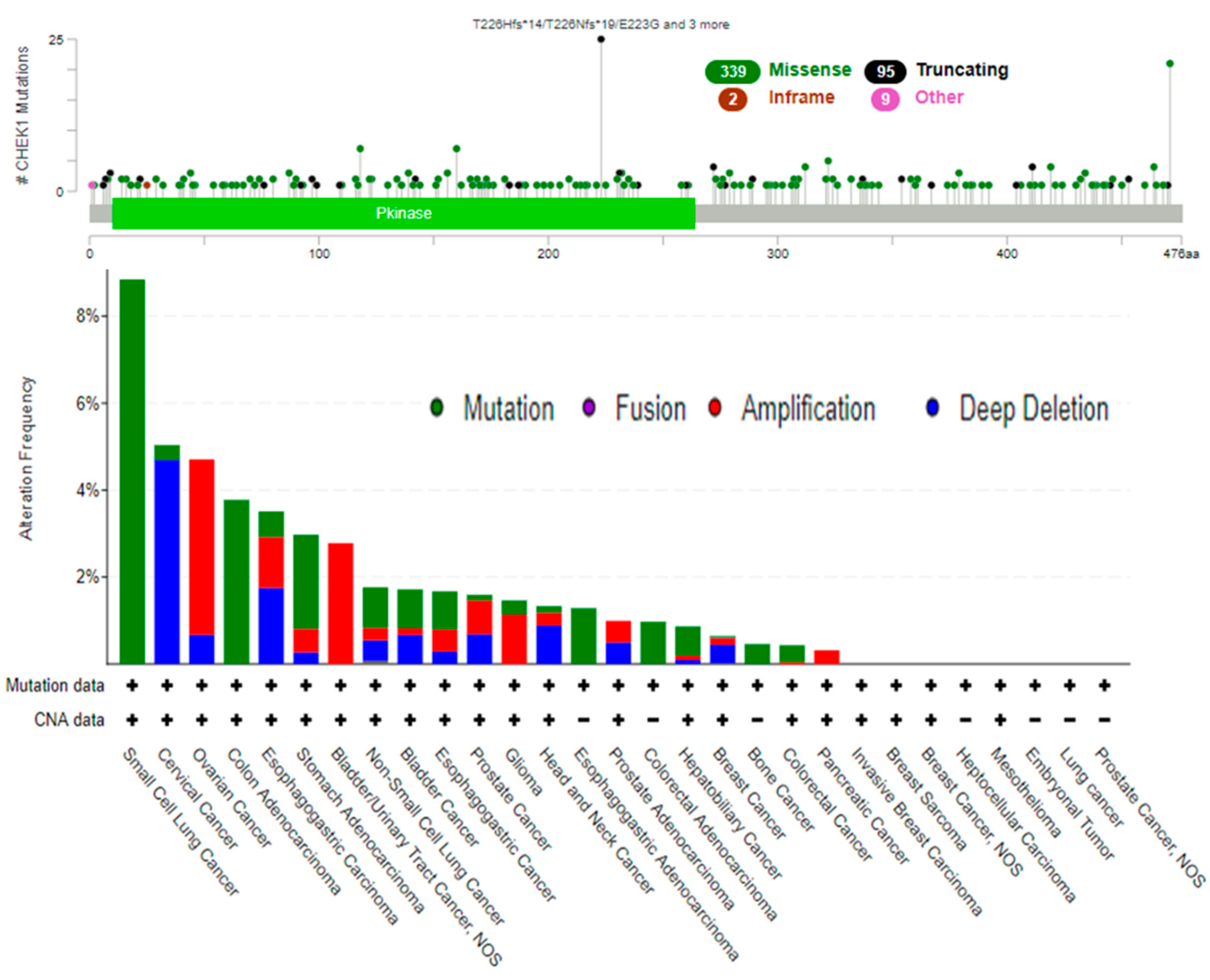 Cancers 12 00662 g007
