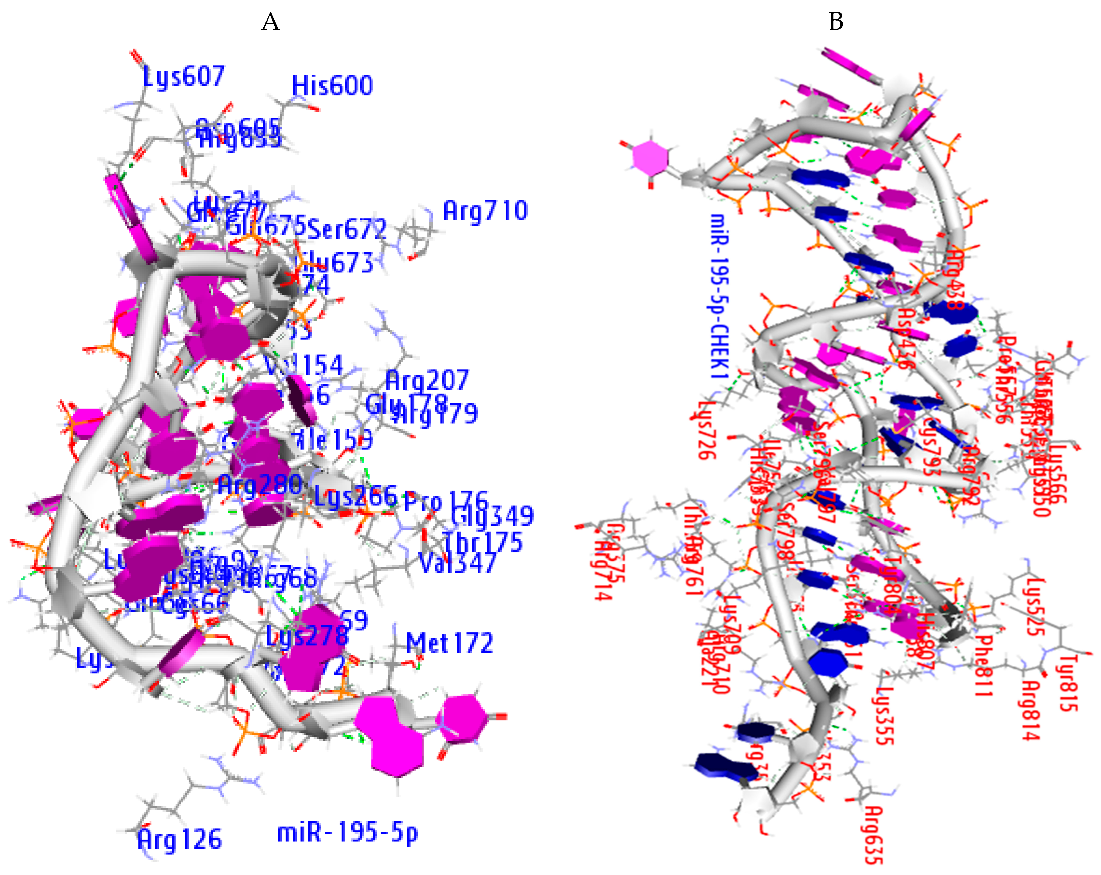 Cancers 12 00662 g011