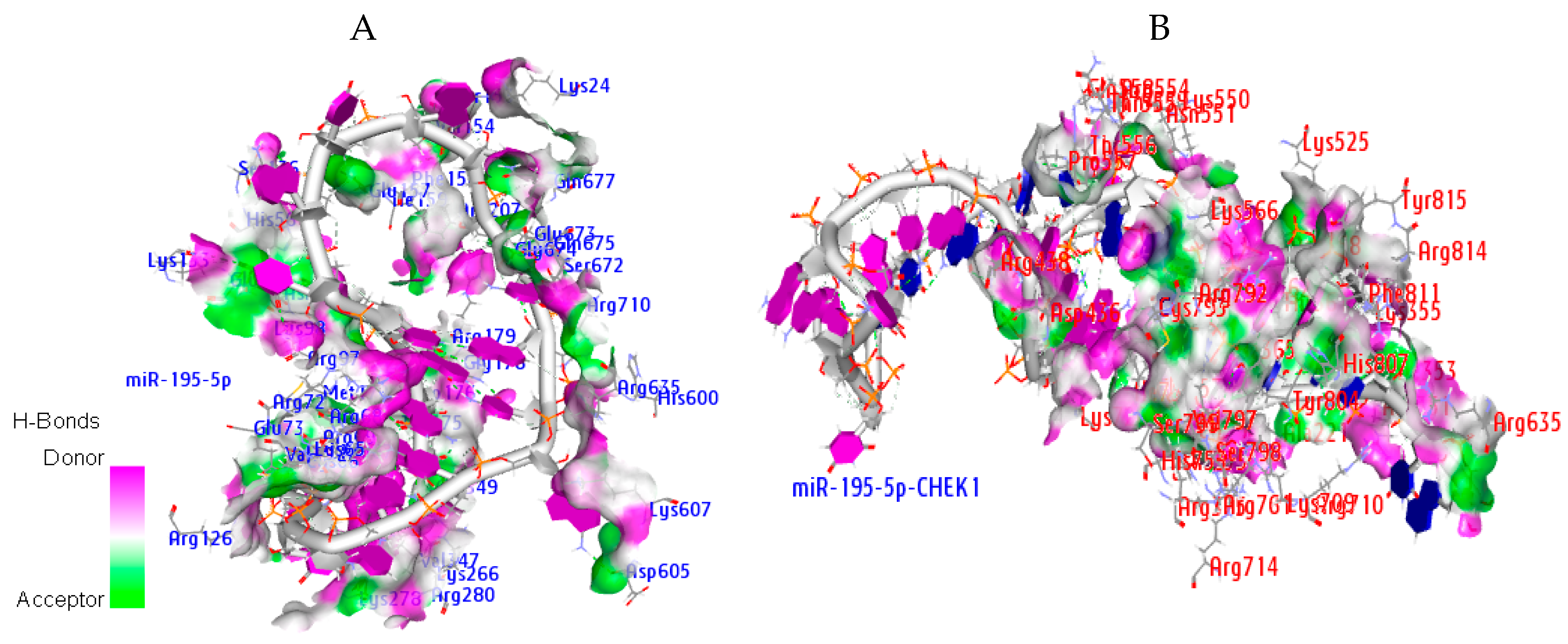 Cancers 12 00662 g012