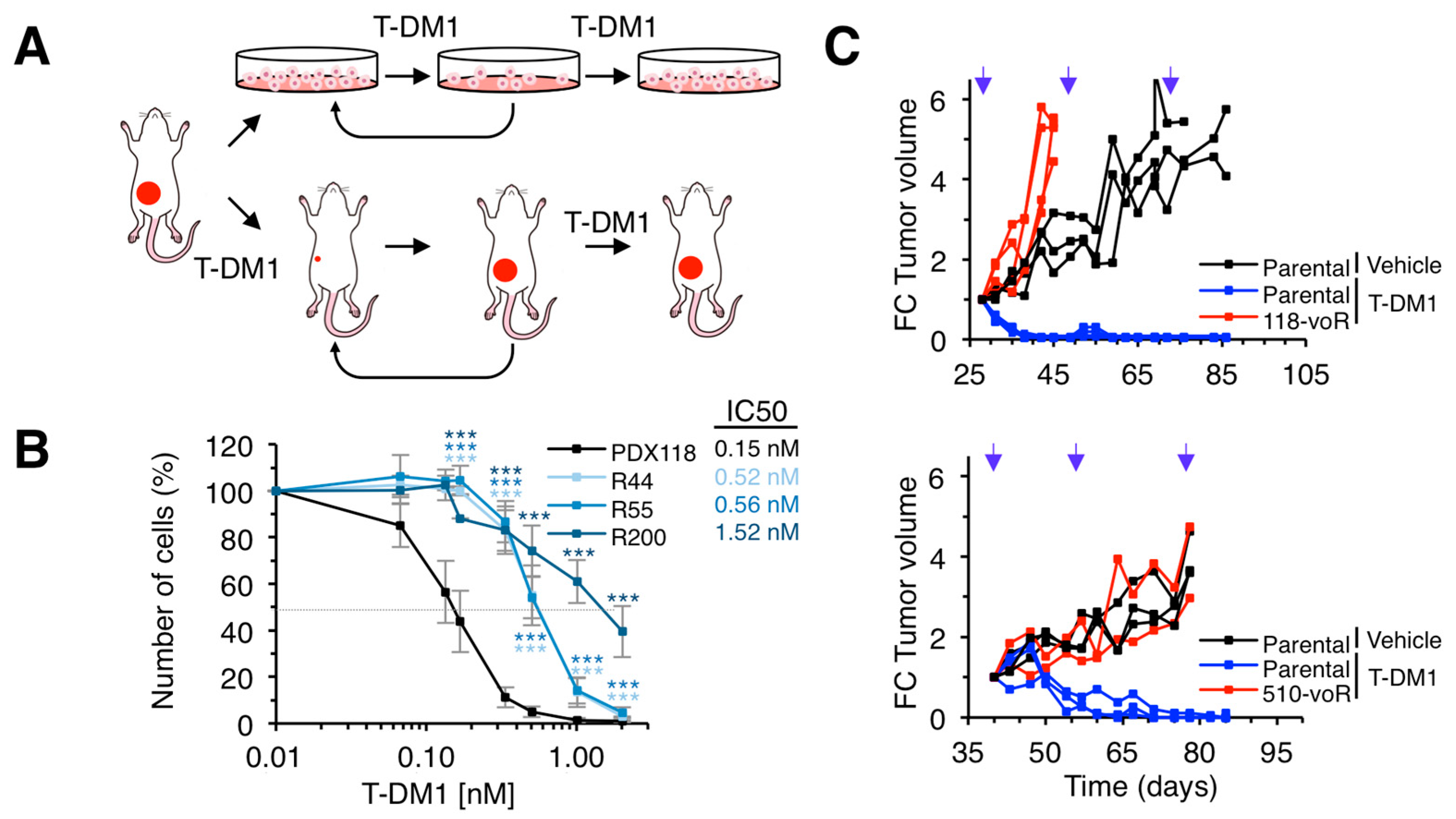 Cancers 12 00670 g002