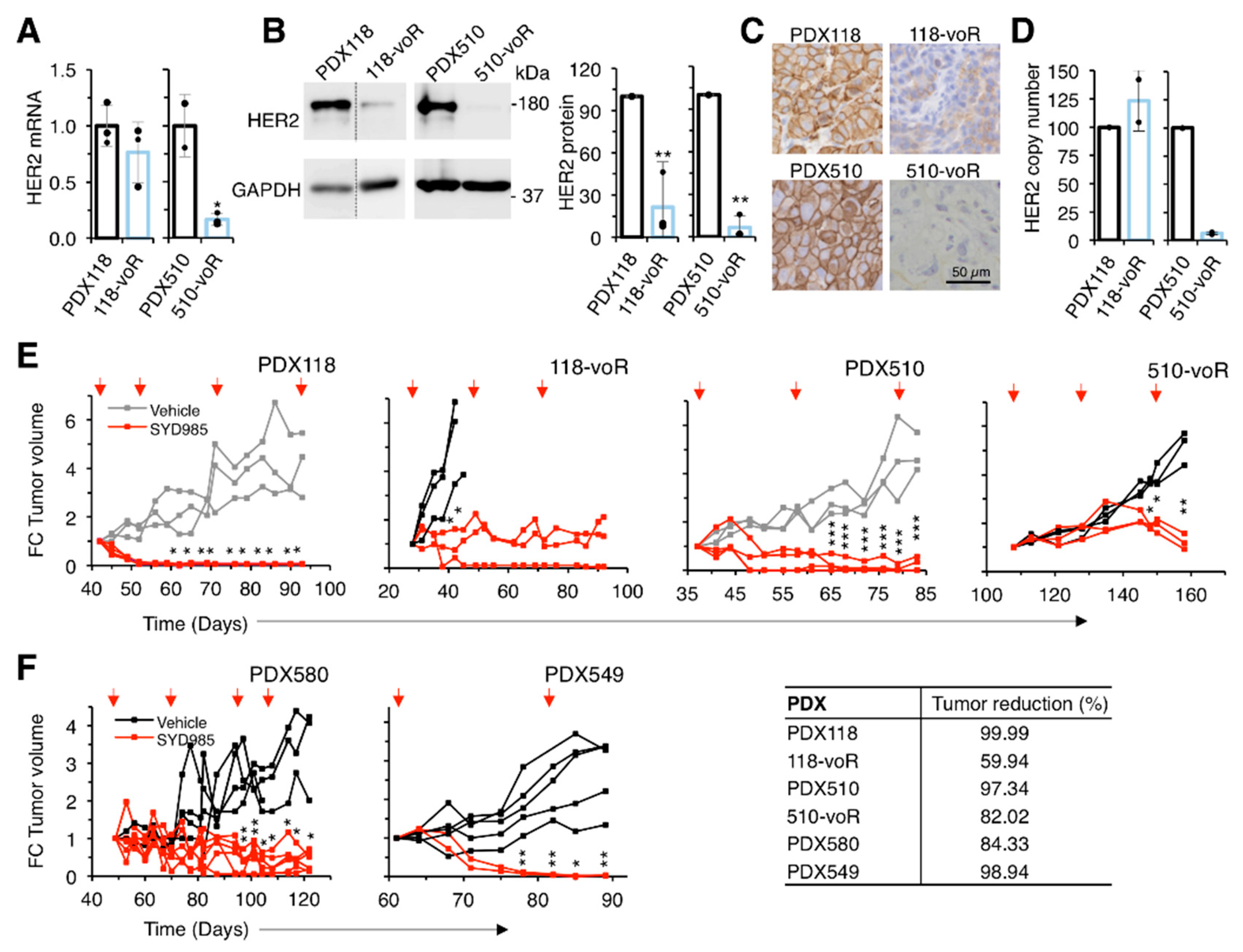 Cancers 12 00670 g005