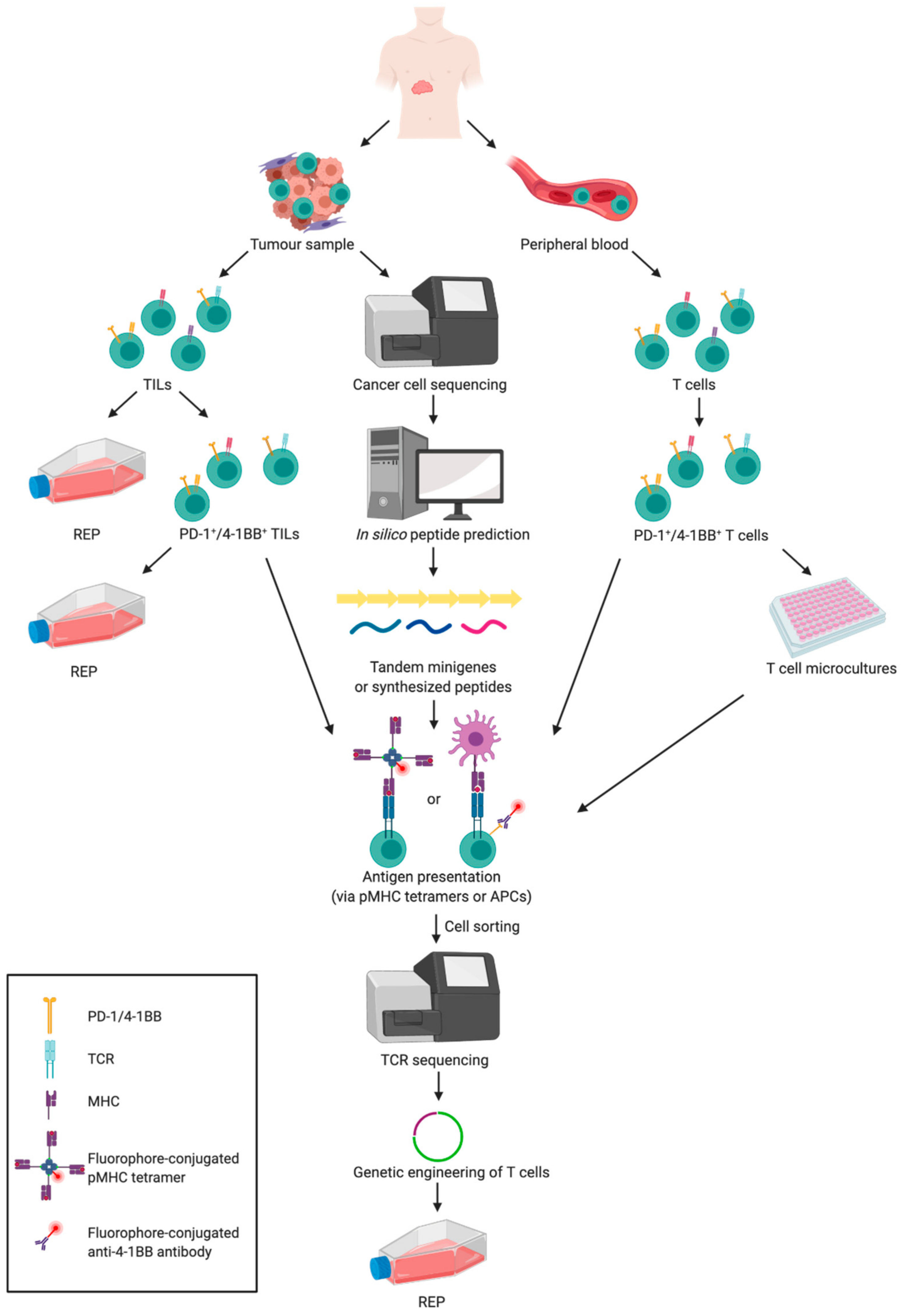 Cancers 12 00683 g002 Cancers 12 00683 g002