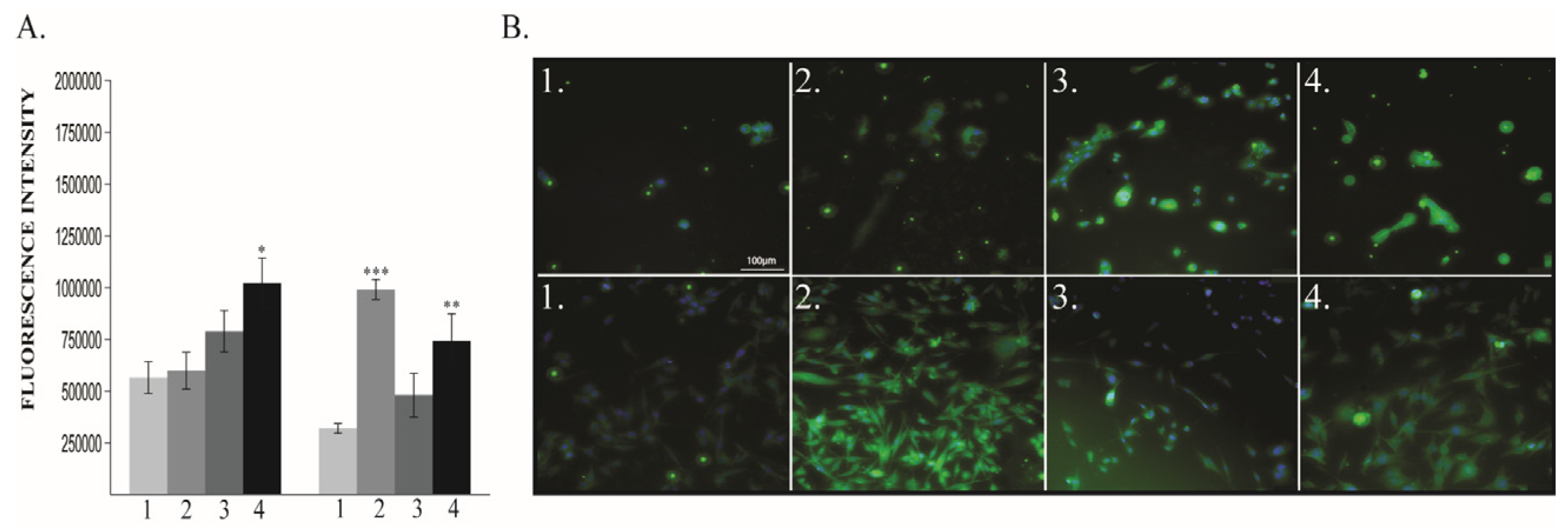 Cancers 12 00688 g007 Cancers 12 00688 g007