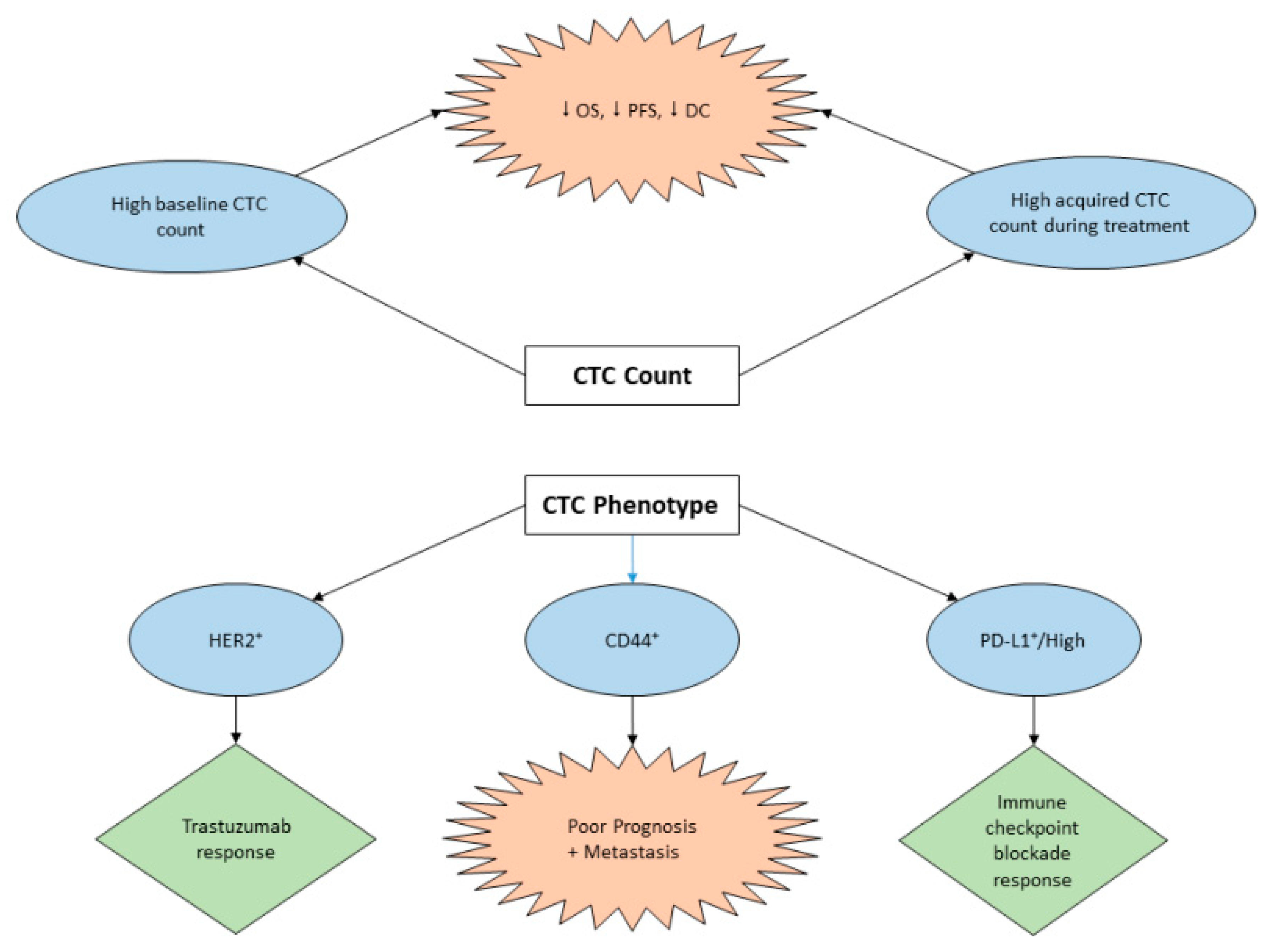 Cancers 12 00695 g001 Cancers 12 00695 g001