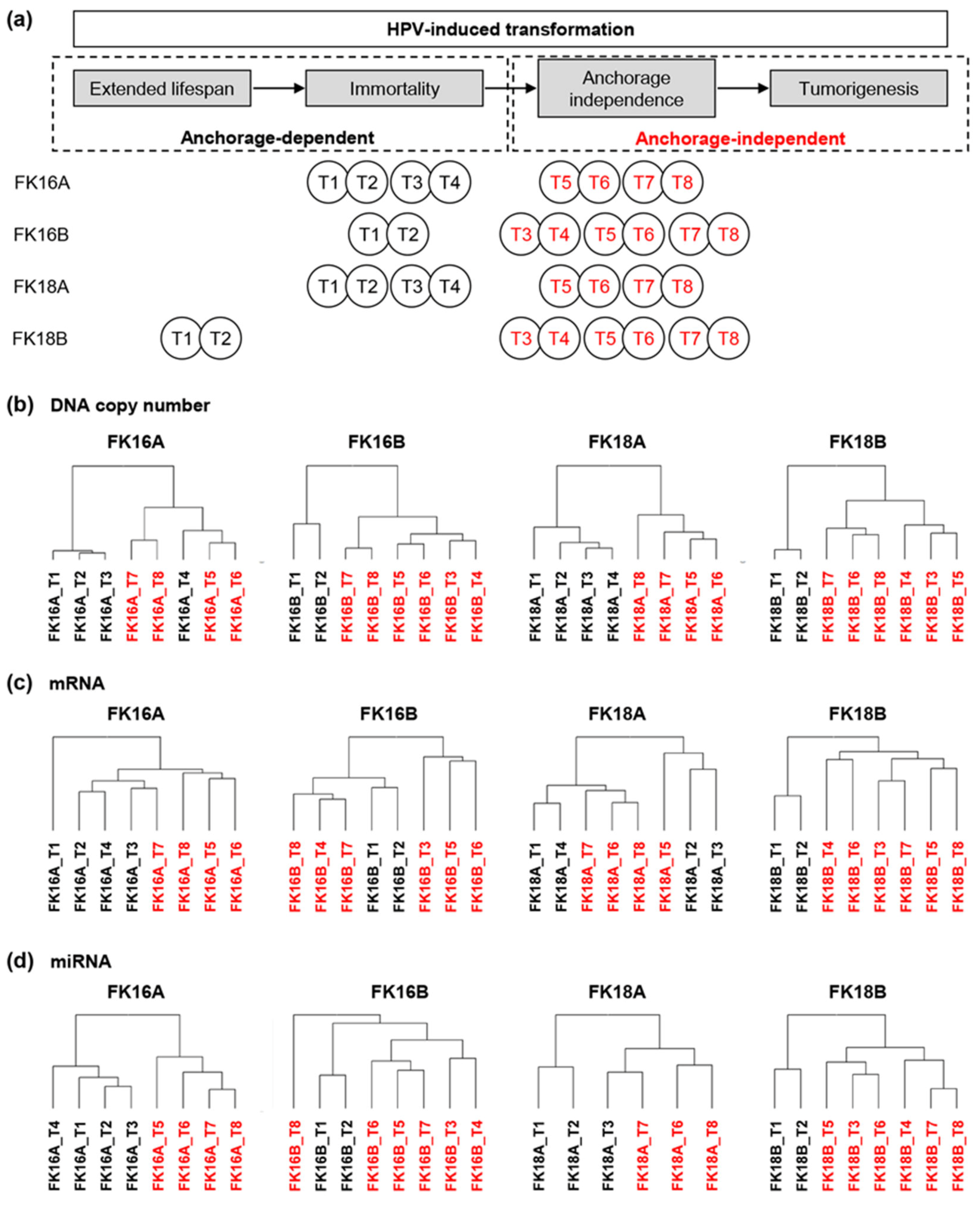 Cancers 12 00700 g001