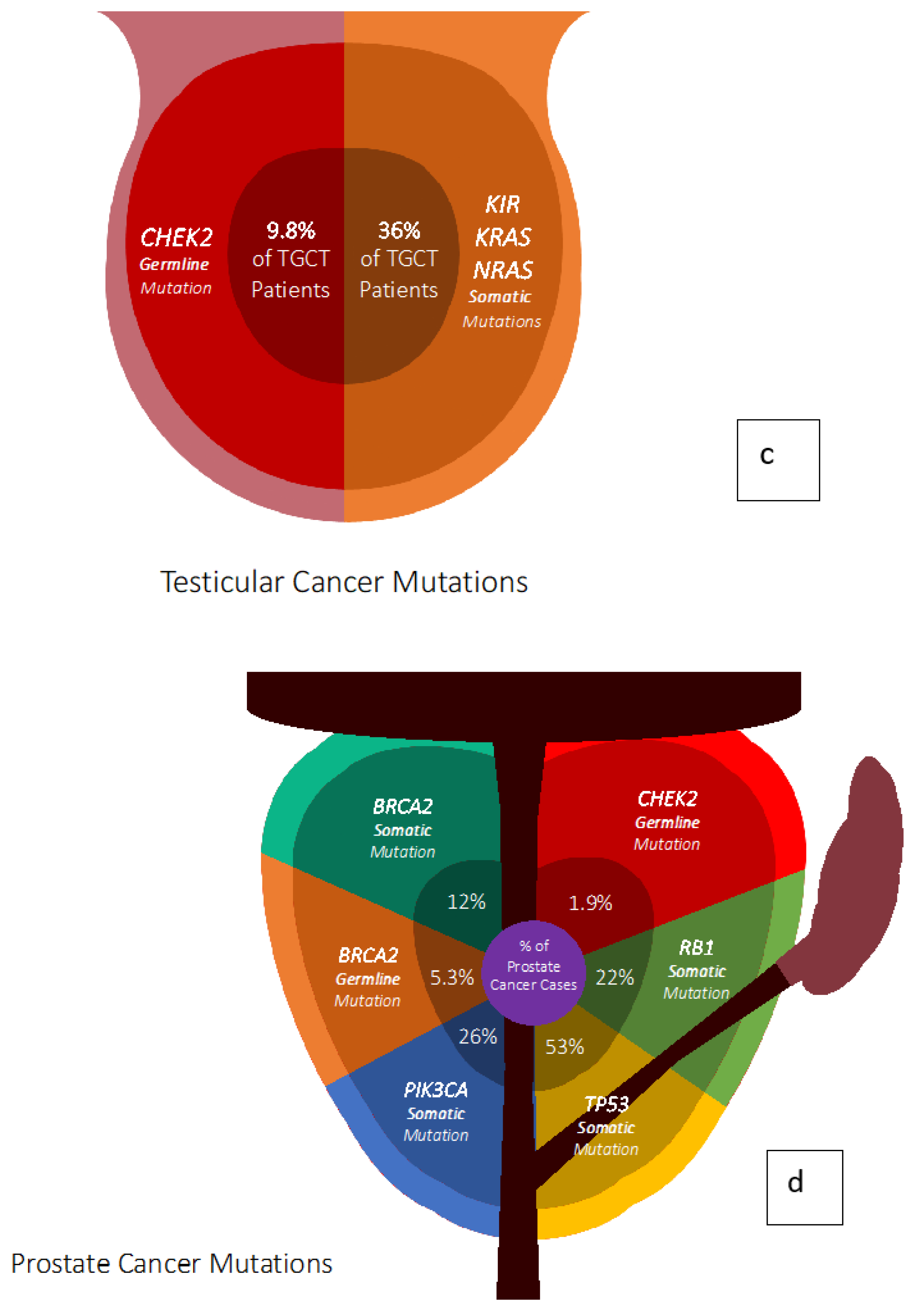 Cancers 12 00710 g001b