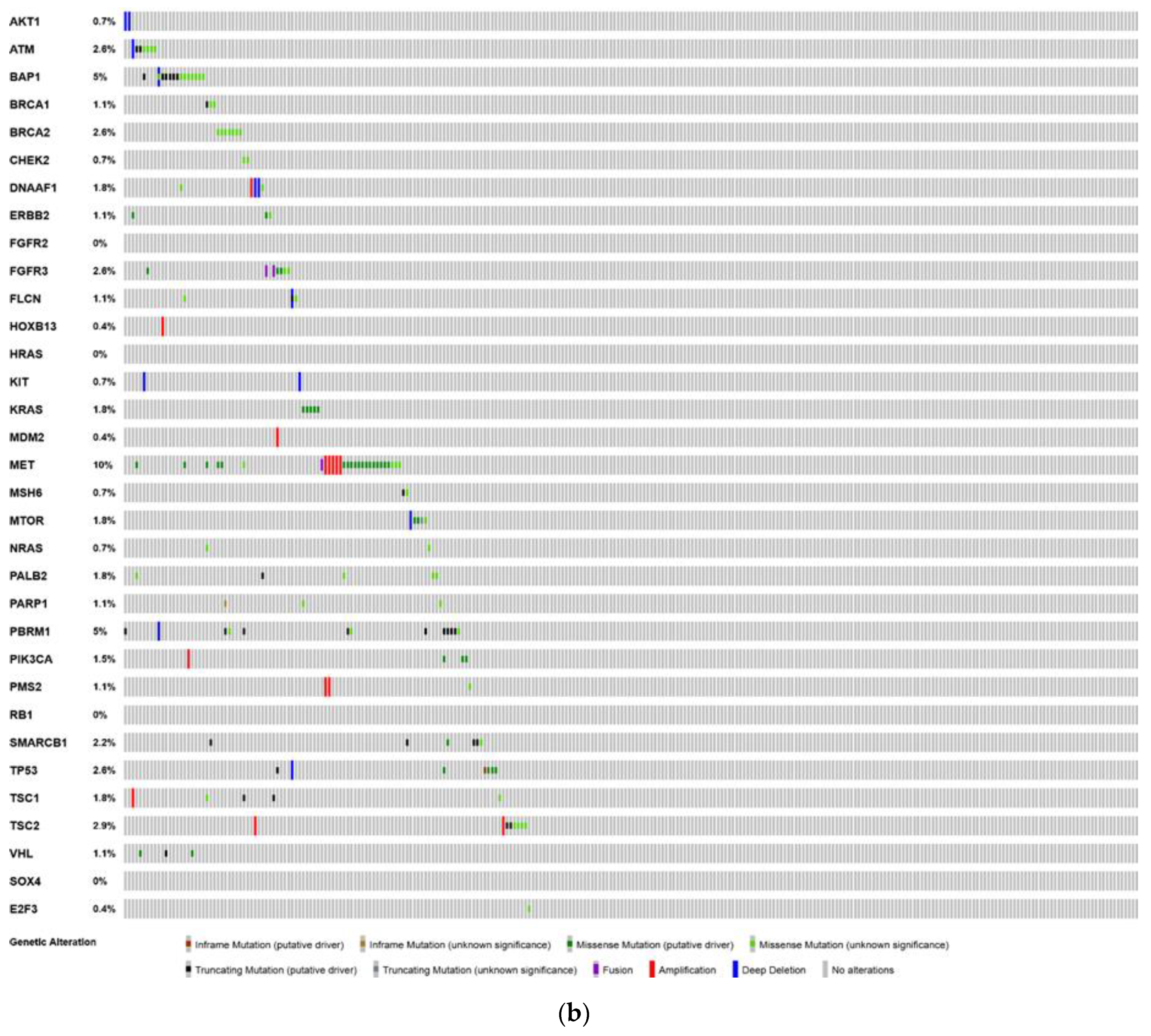Cancers 12 00710 g002b
