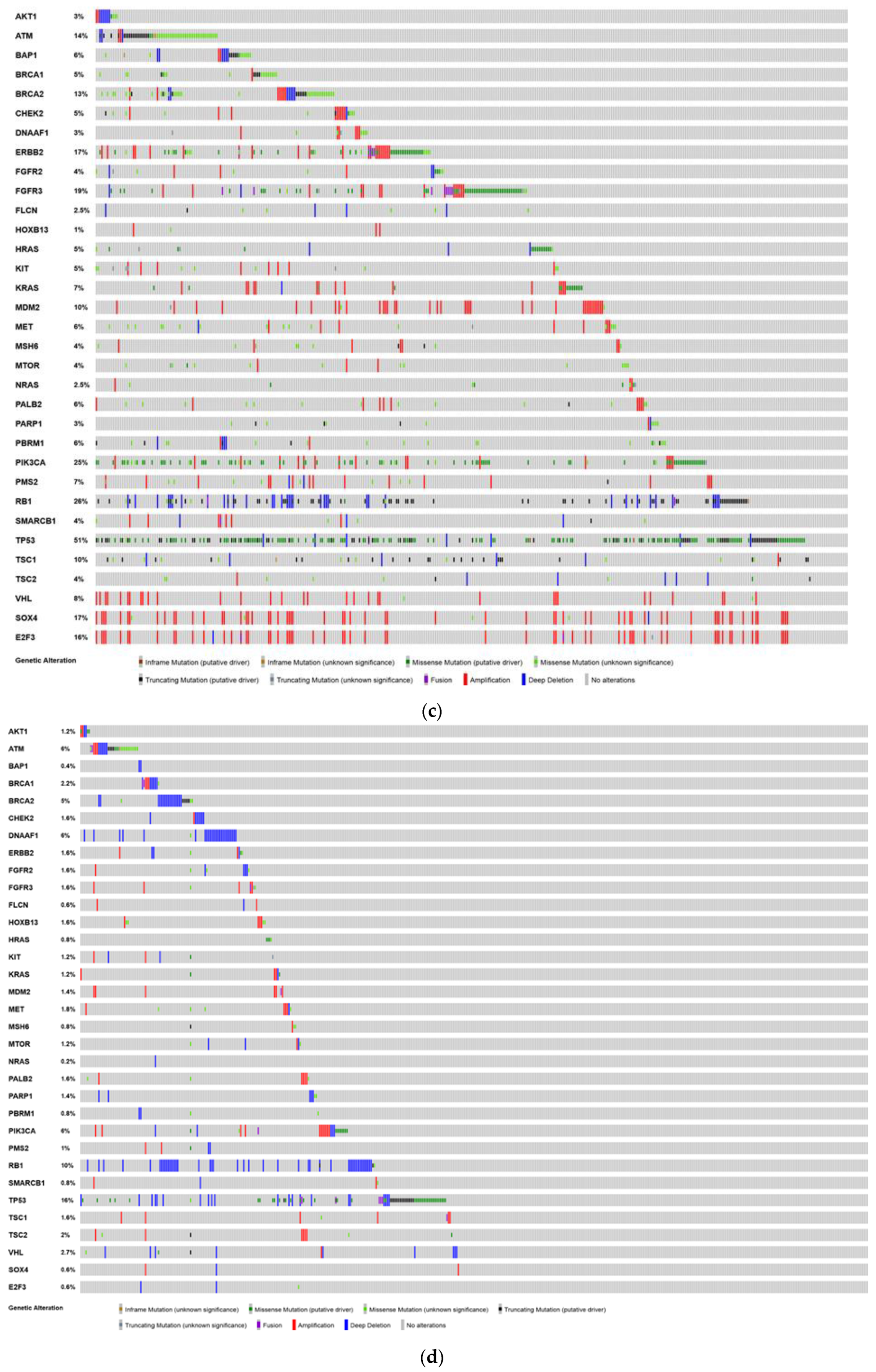 Cancers 12 00710 g002c